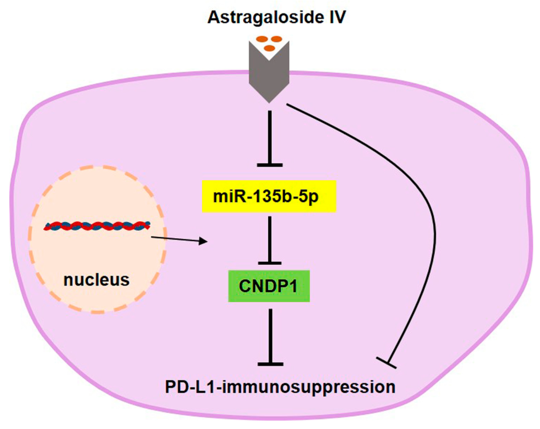 Cancers 15 05048 g007