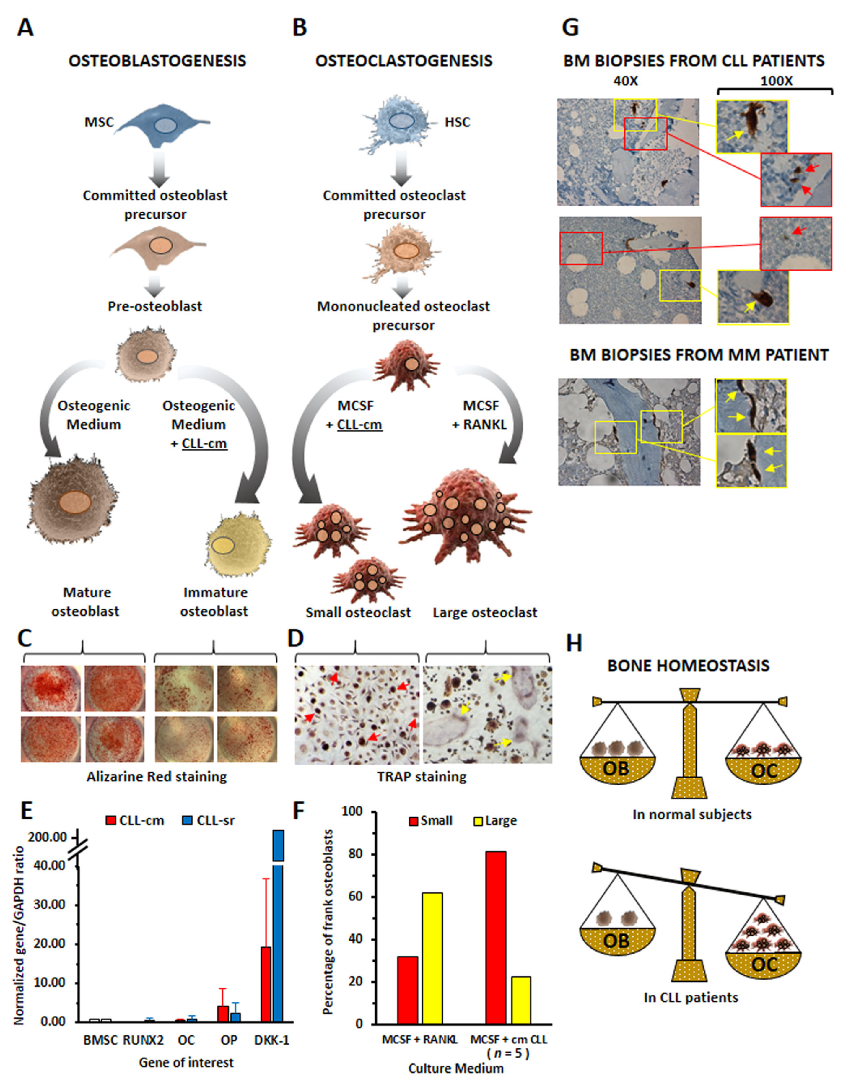 Cancers 15 05058 g001