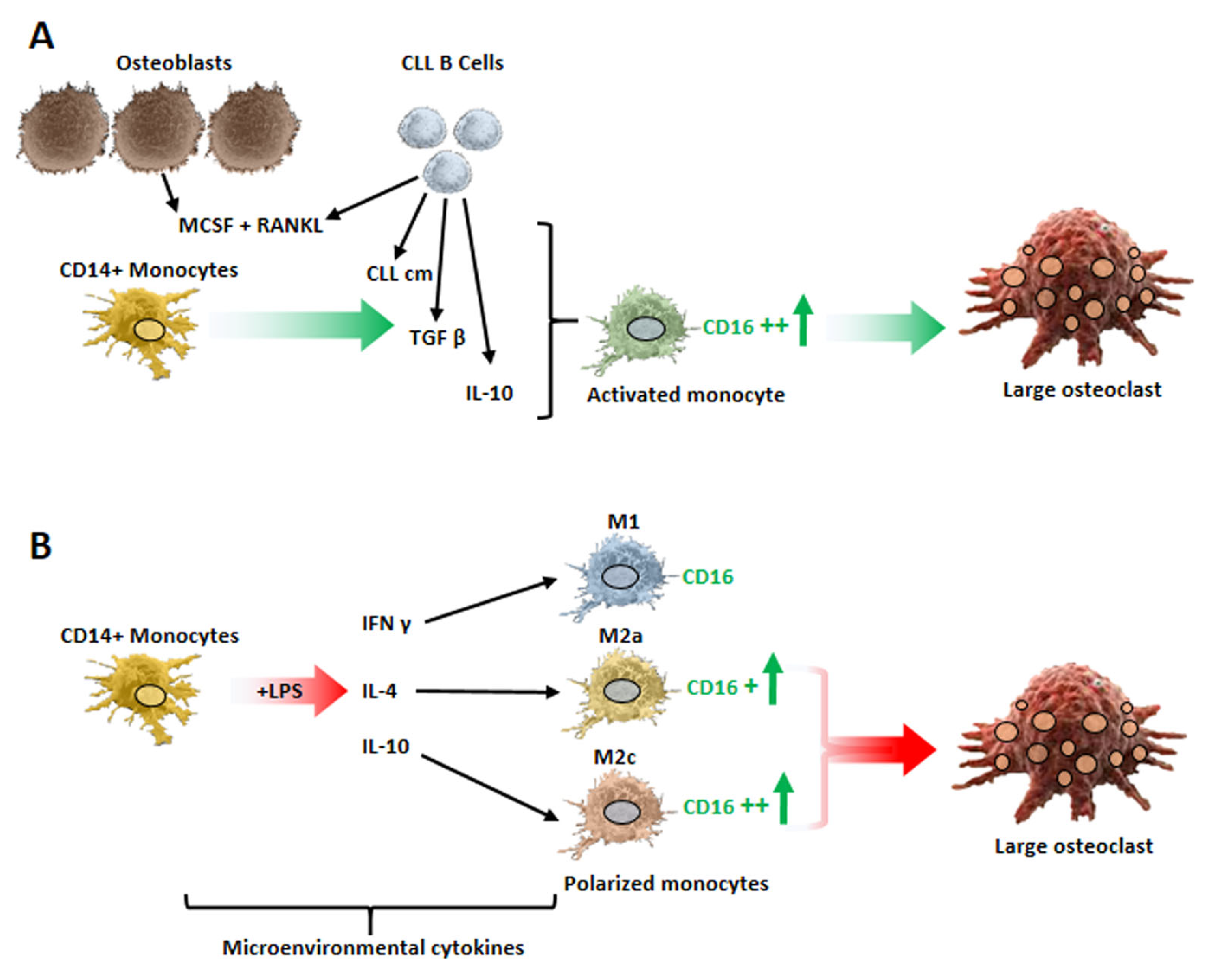 Cancers 15 05058 g002