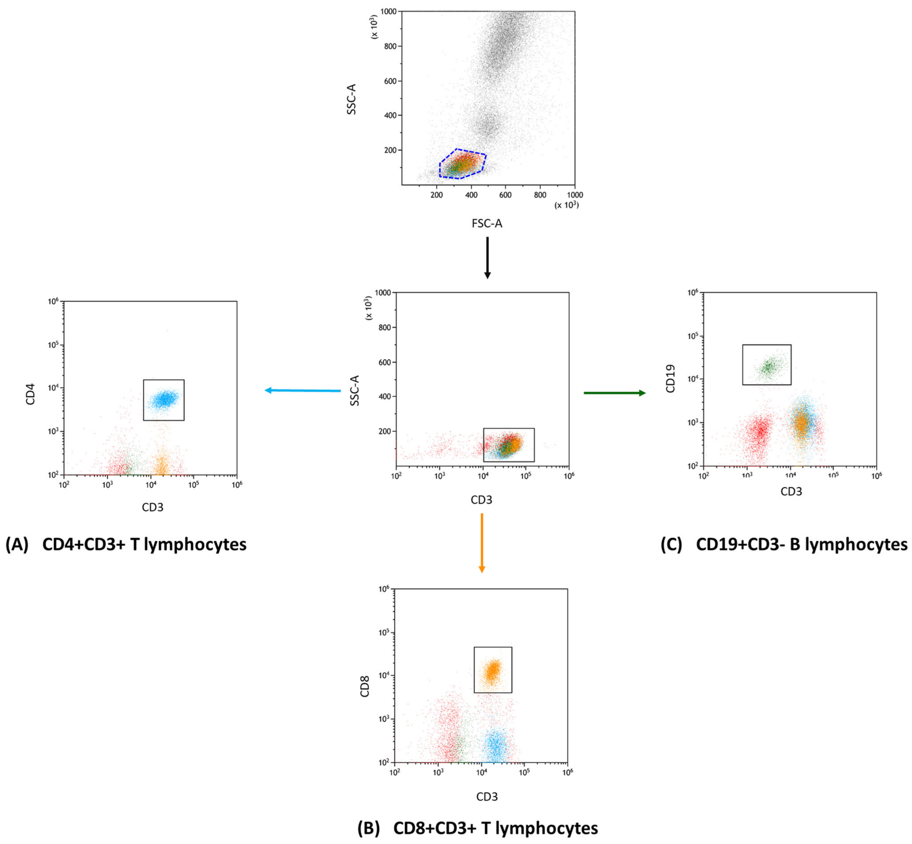 Cancers 15 05059 g001