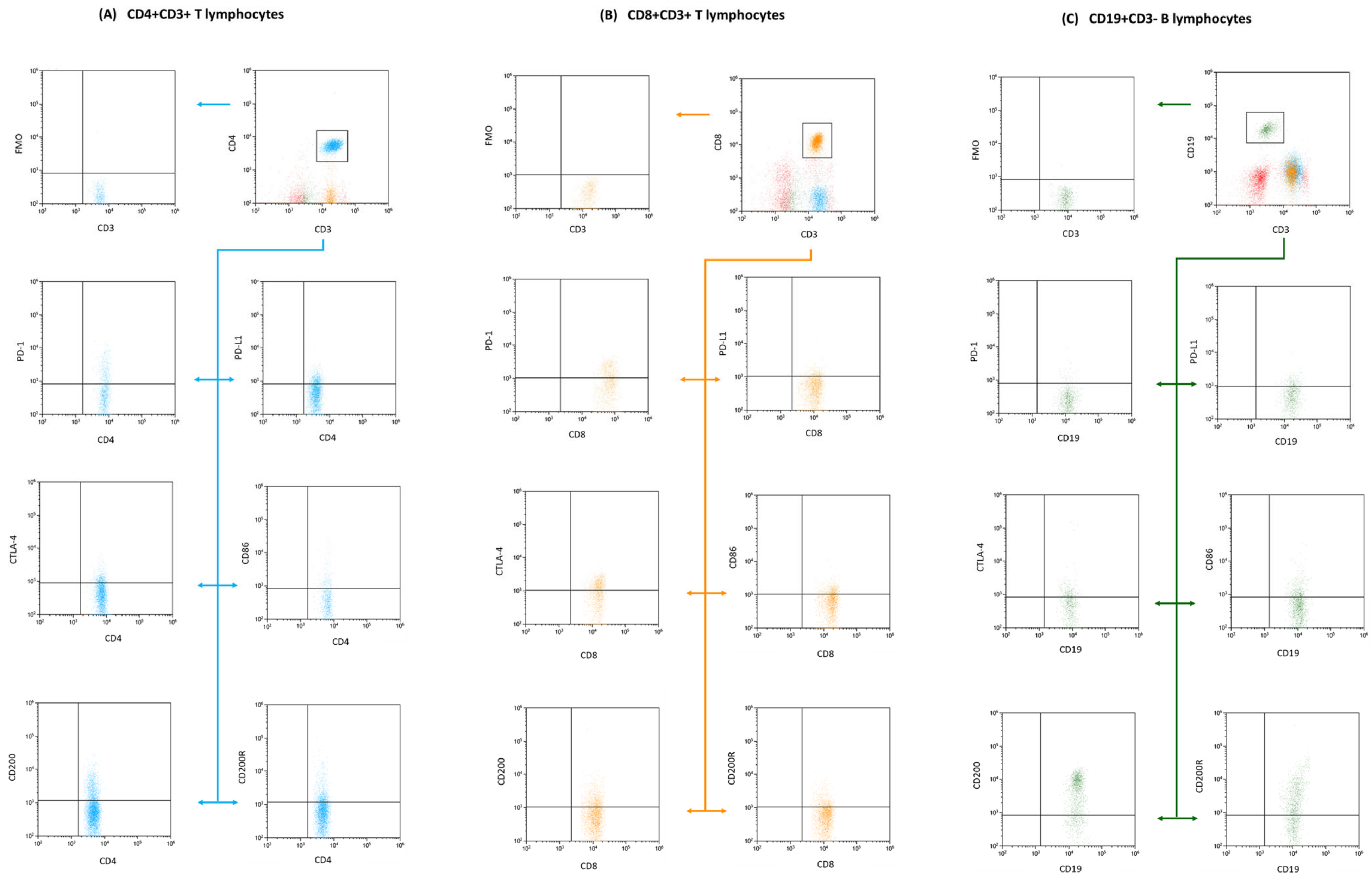 Cancers 15 05059 g002