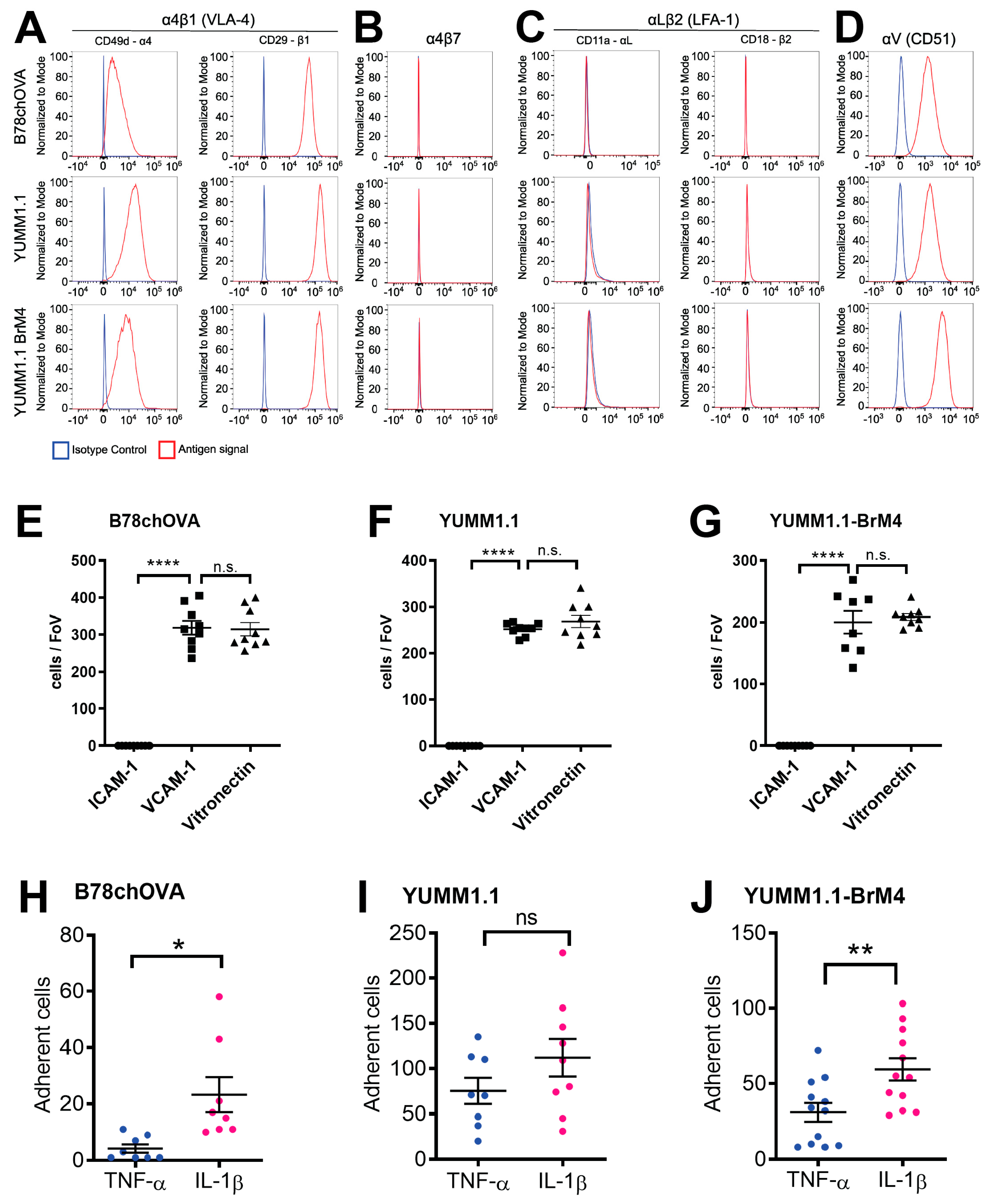 Cancers 15 05071 g003