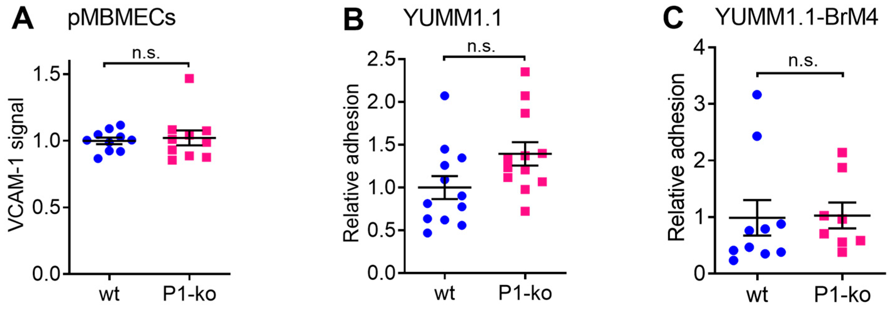 Cancers 15 05071 g005