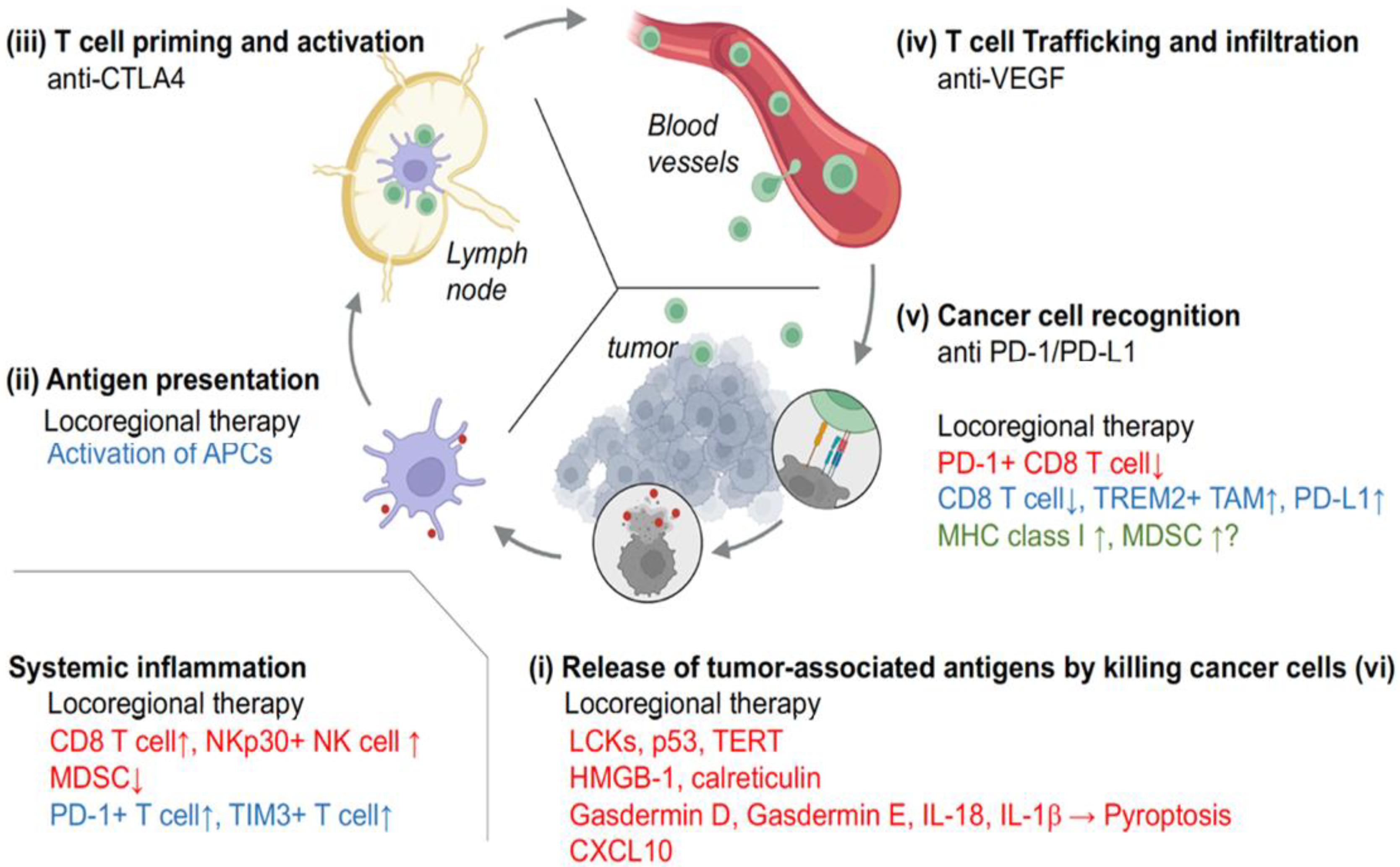 Cancers 15 05072 g002