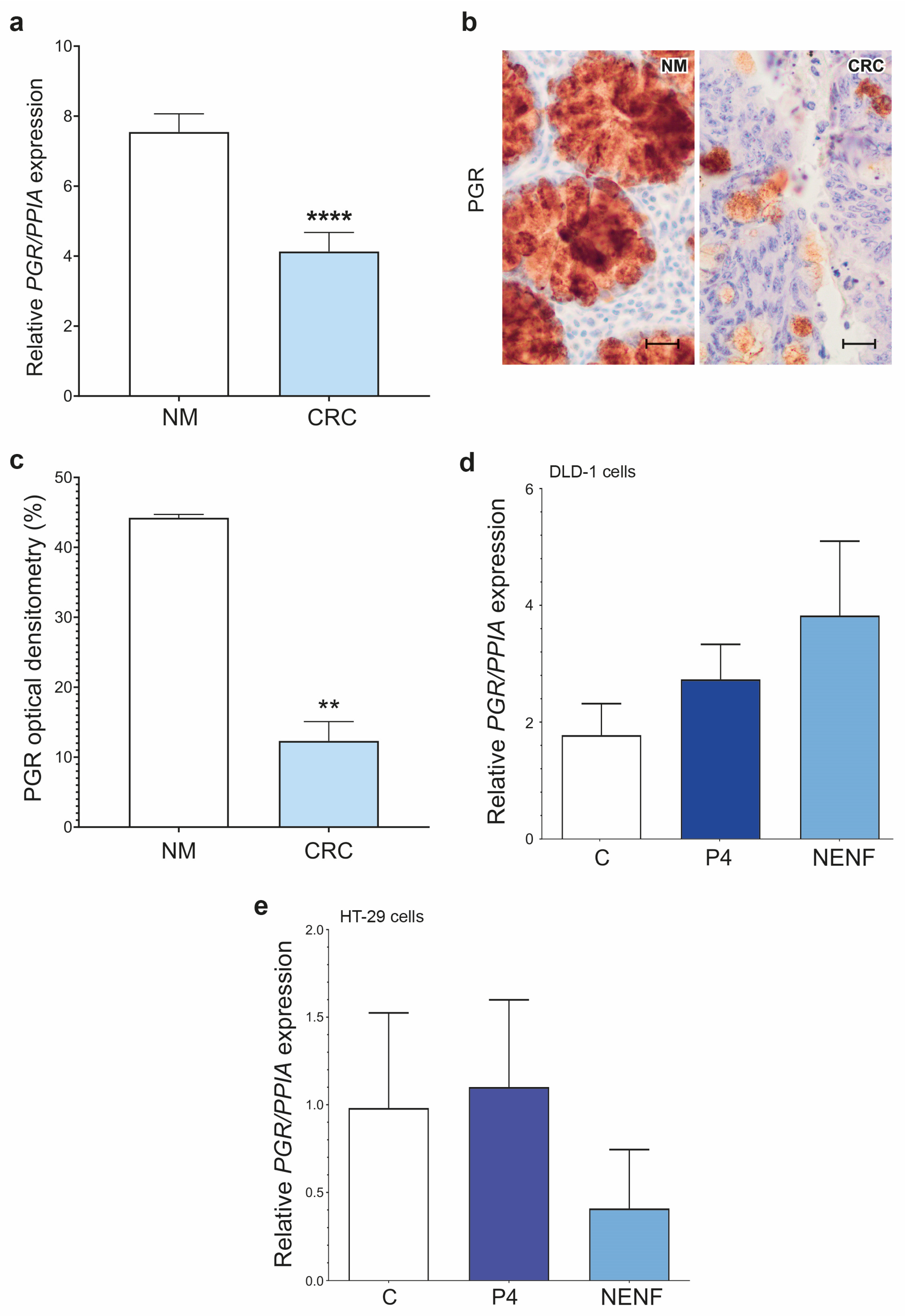Cancers 15 05074 g001 Cancers 15 05074 g001