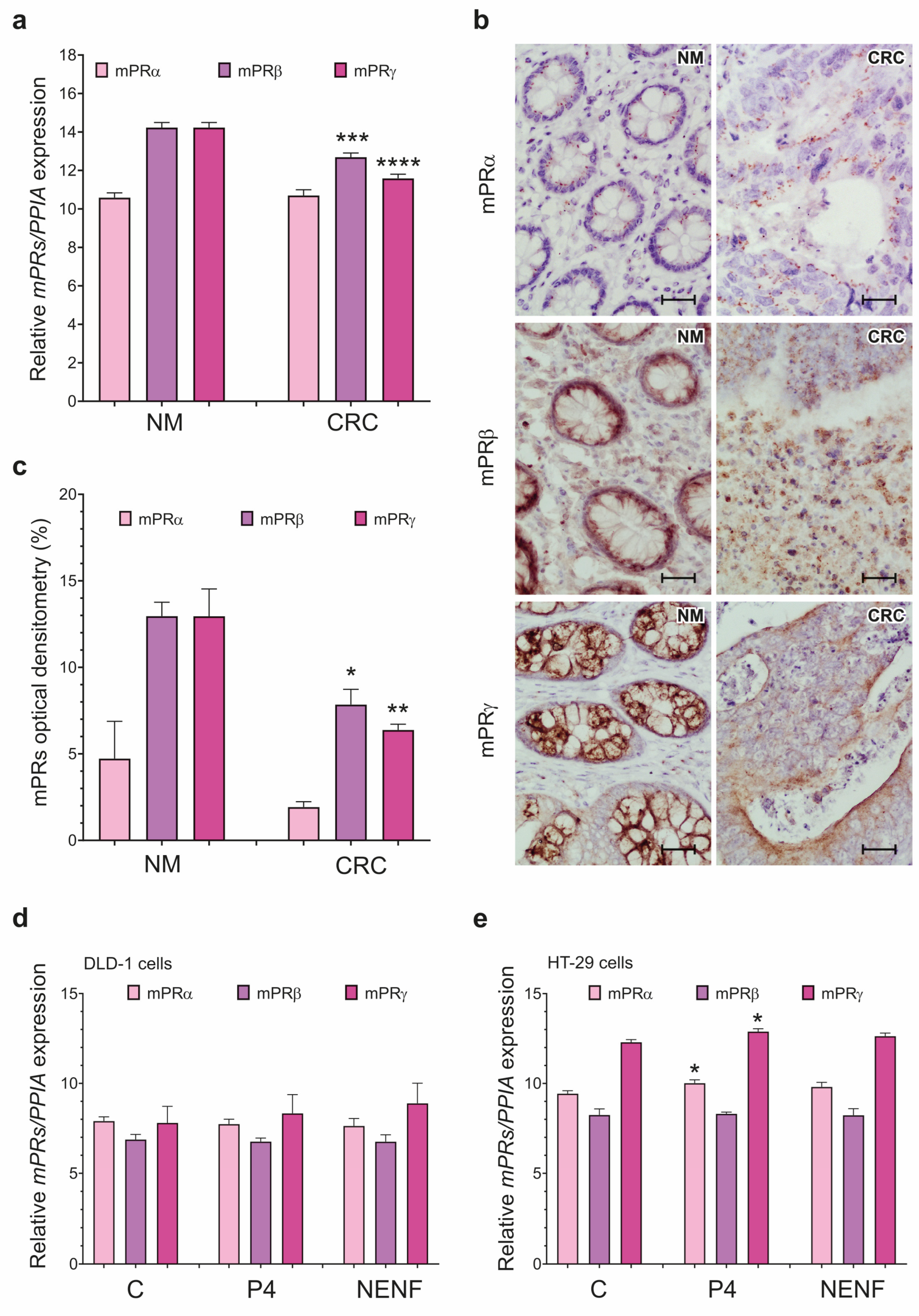Cancers 15 05074 g002 Cancers 15 05074 g002