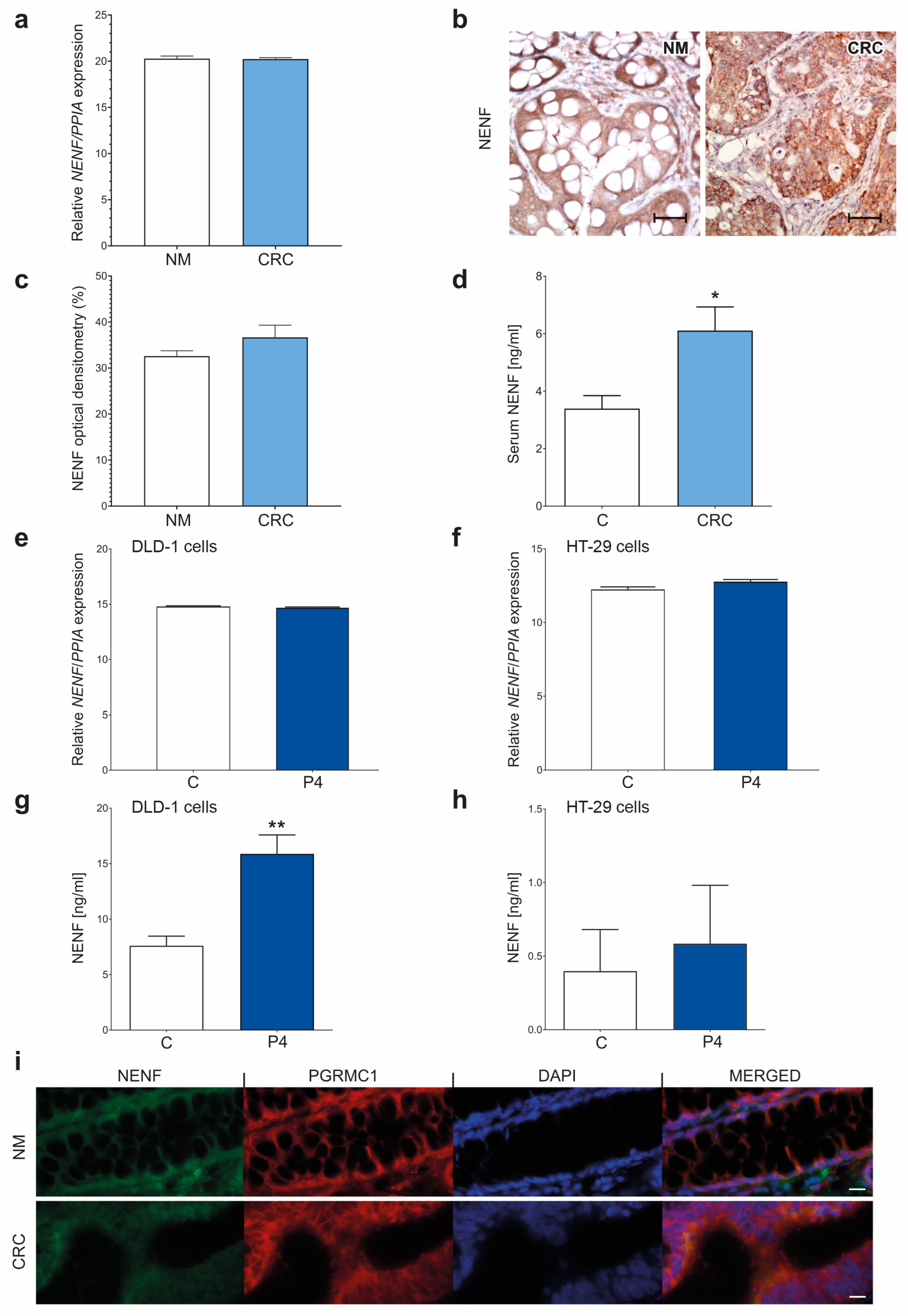 Cancers 15 05074 g004 Cancers 15 05074 g004
