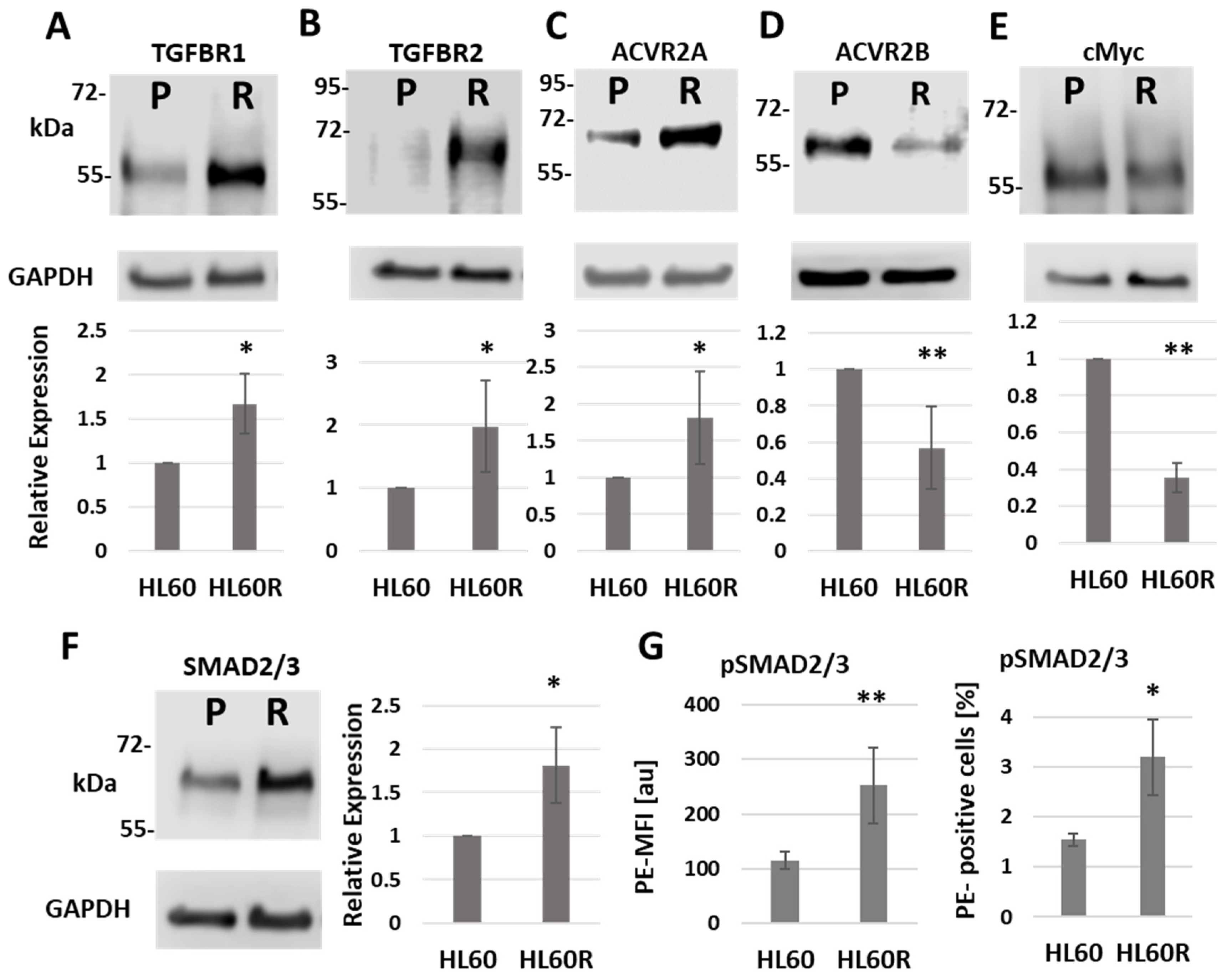 Cancers 15 05086 g002