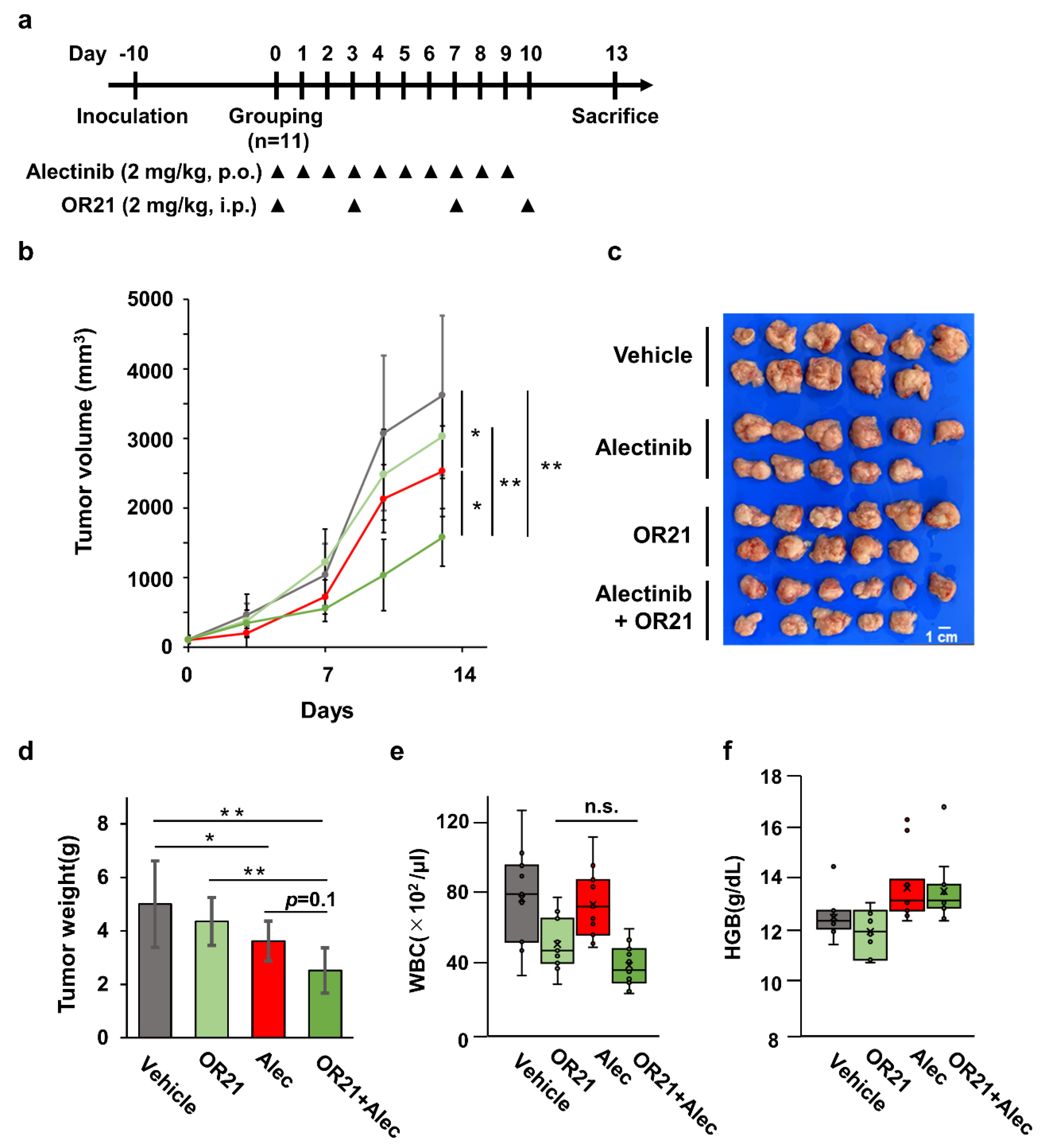 Cancers 15 05089 g005