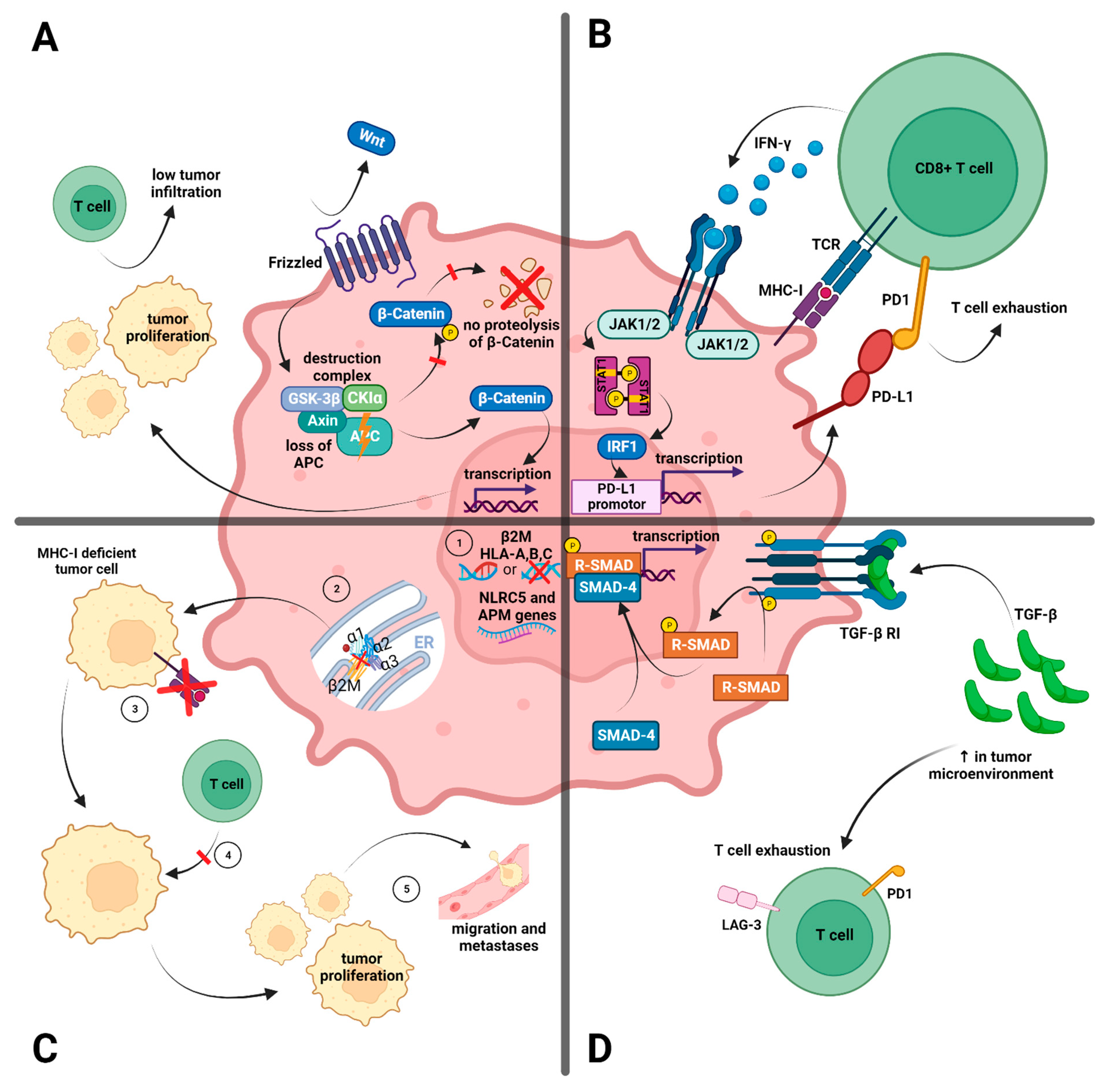 Cancers 15 05090 g001