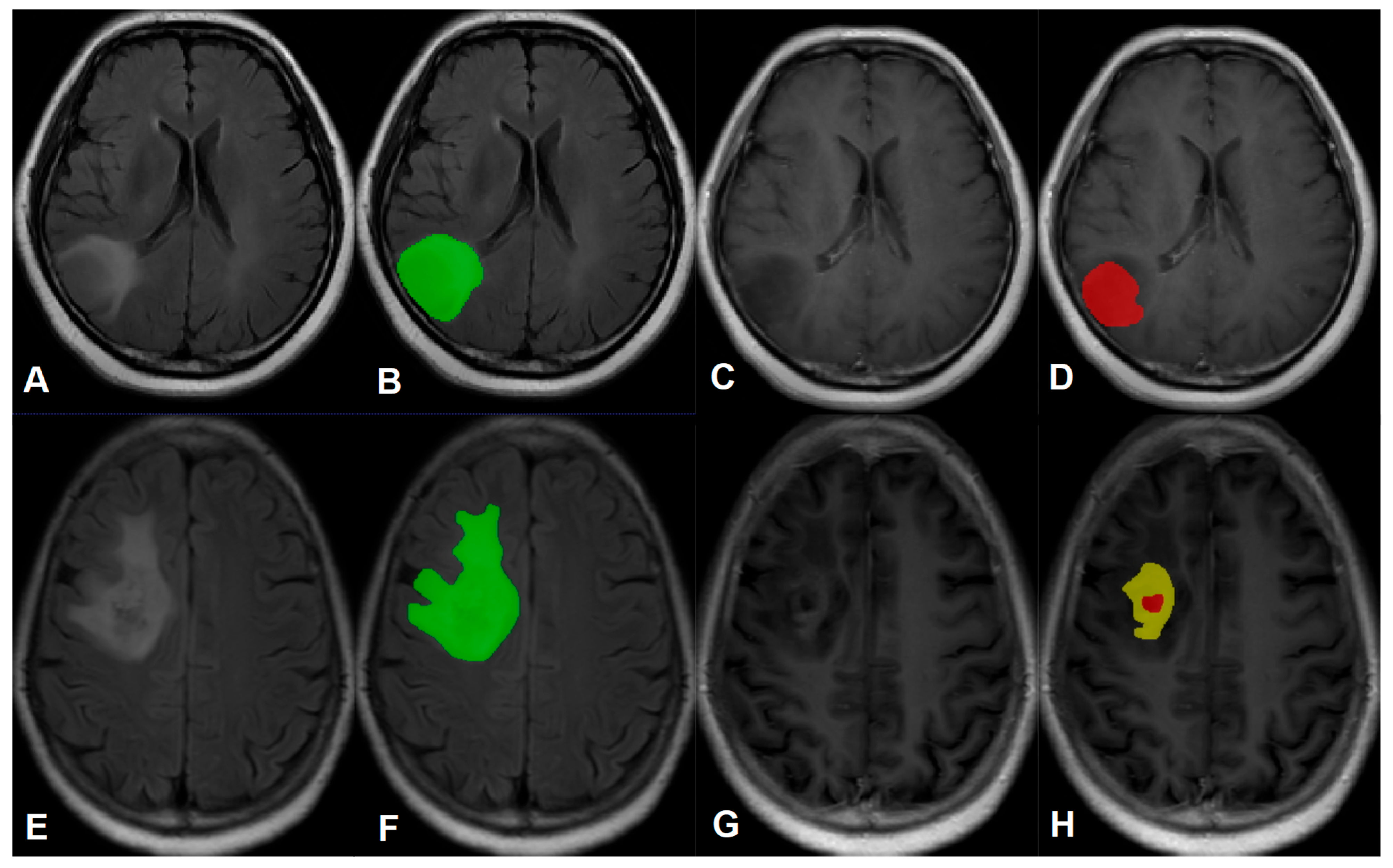 Cancers 15 05094 g001