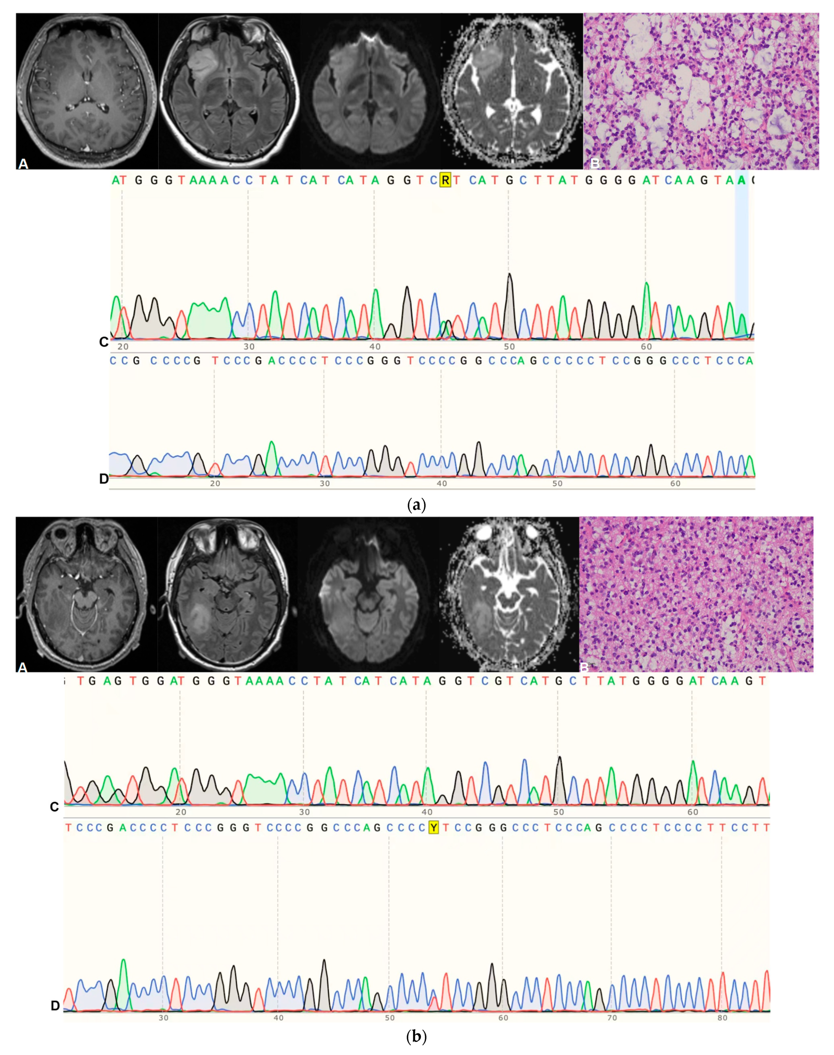 Cancers 15 05094 g002a