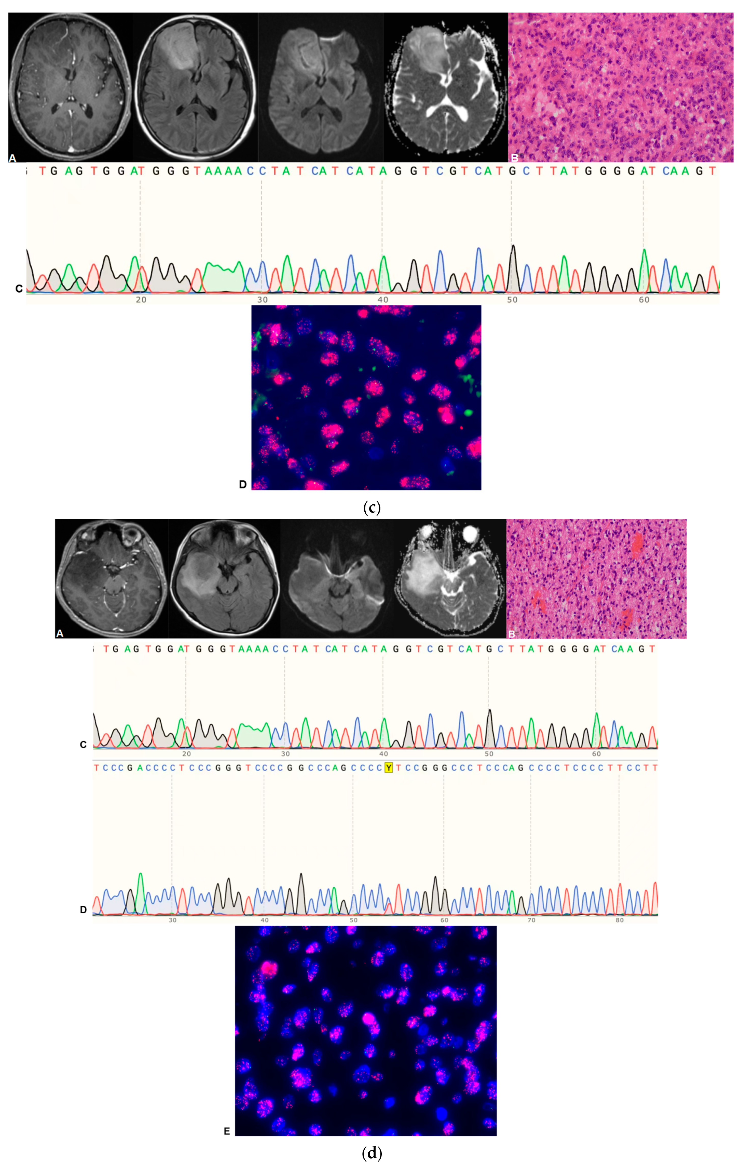 Cancers 15 05094 g002b
