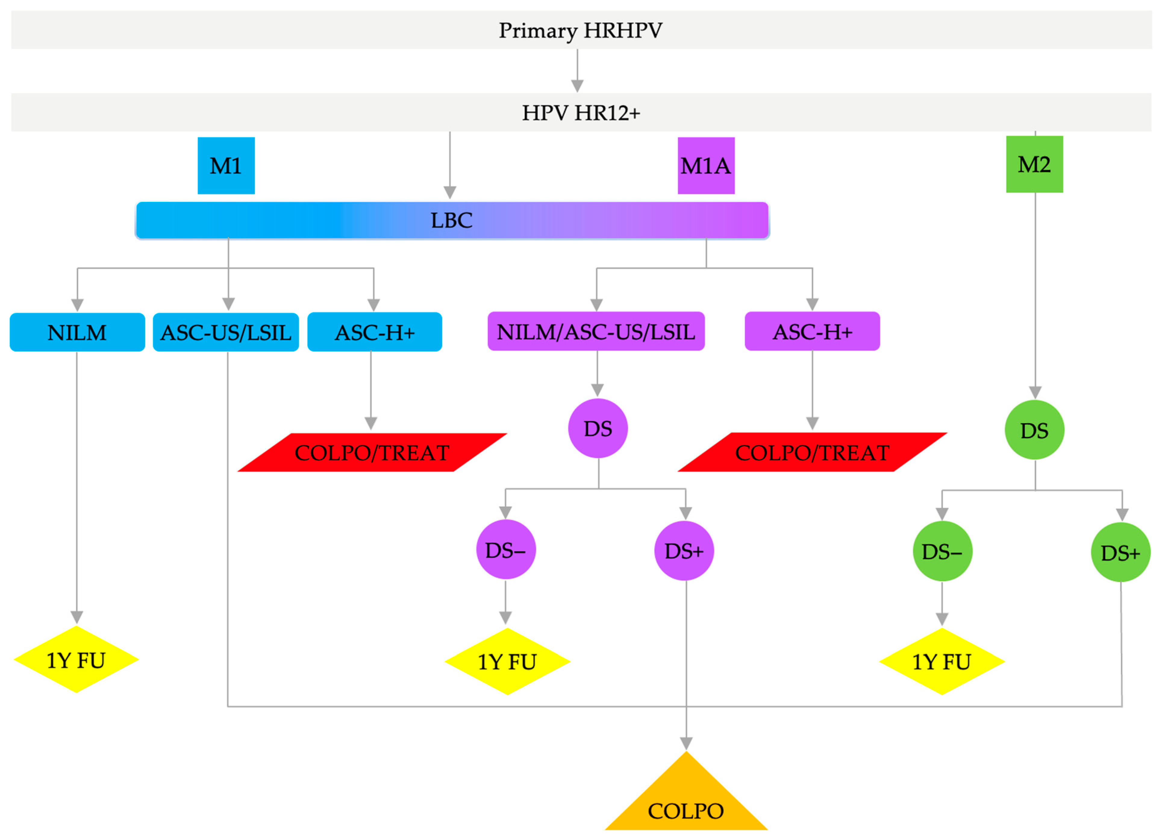 Cancers 15 05095 g002