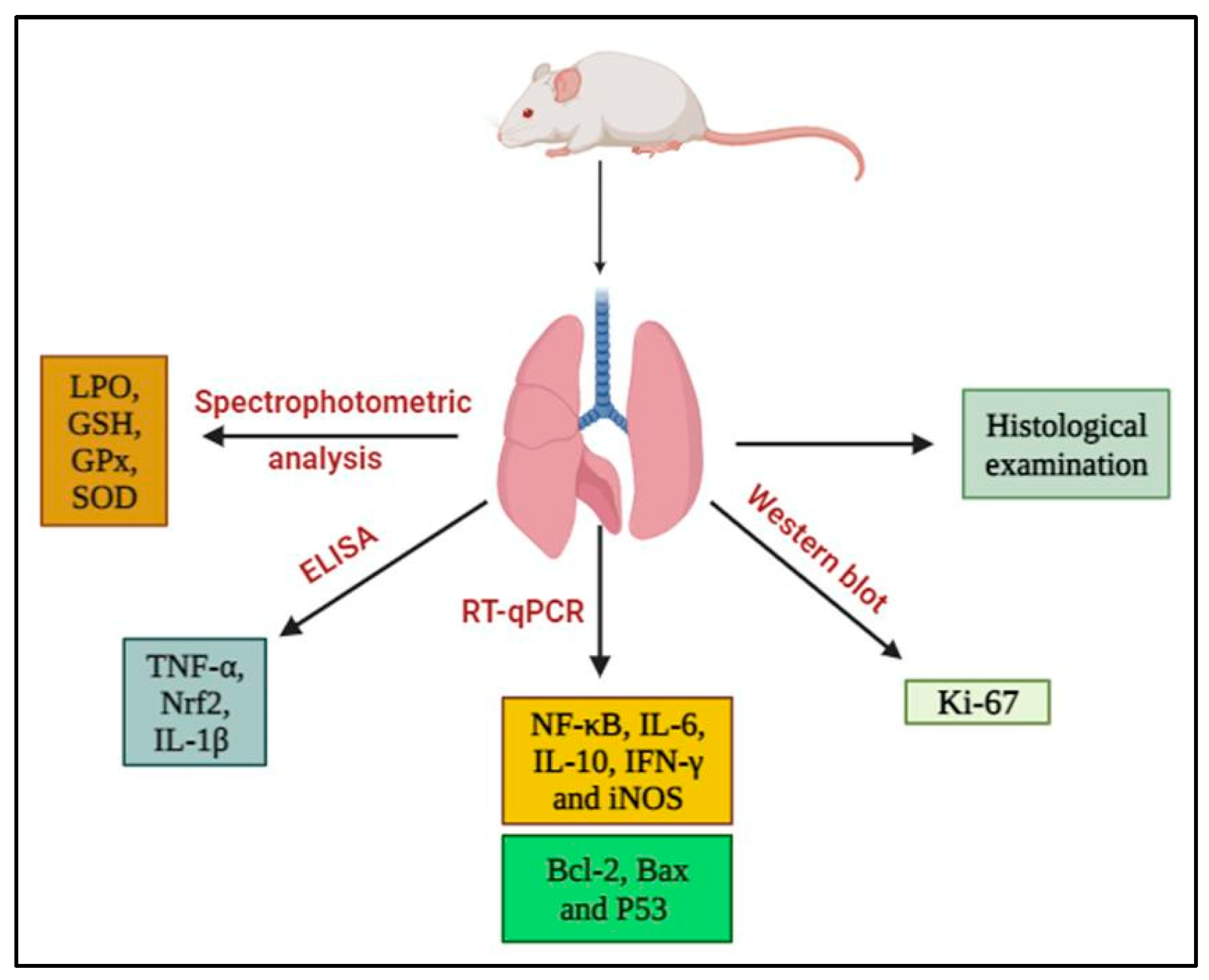 Cancers 15 05102 g002