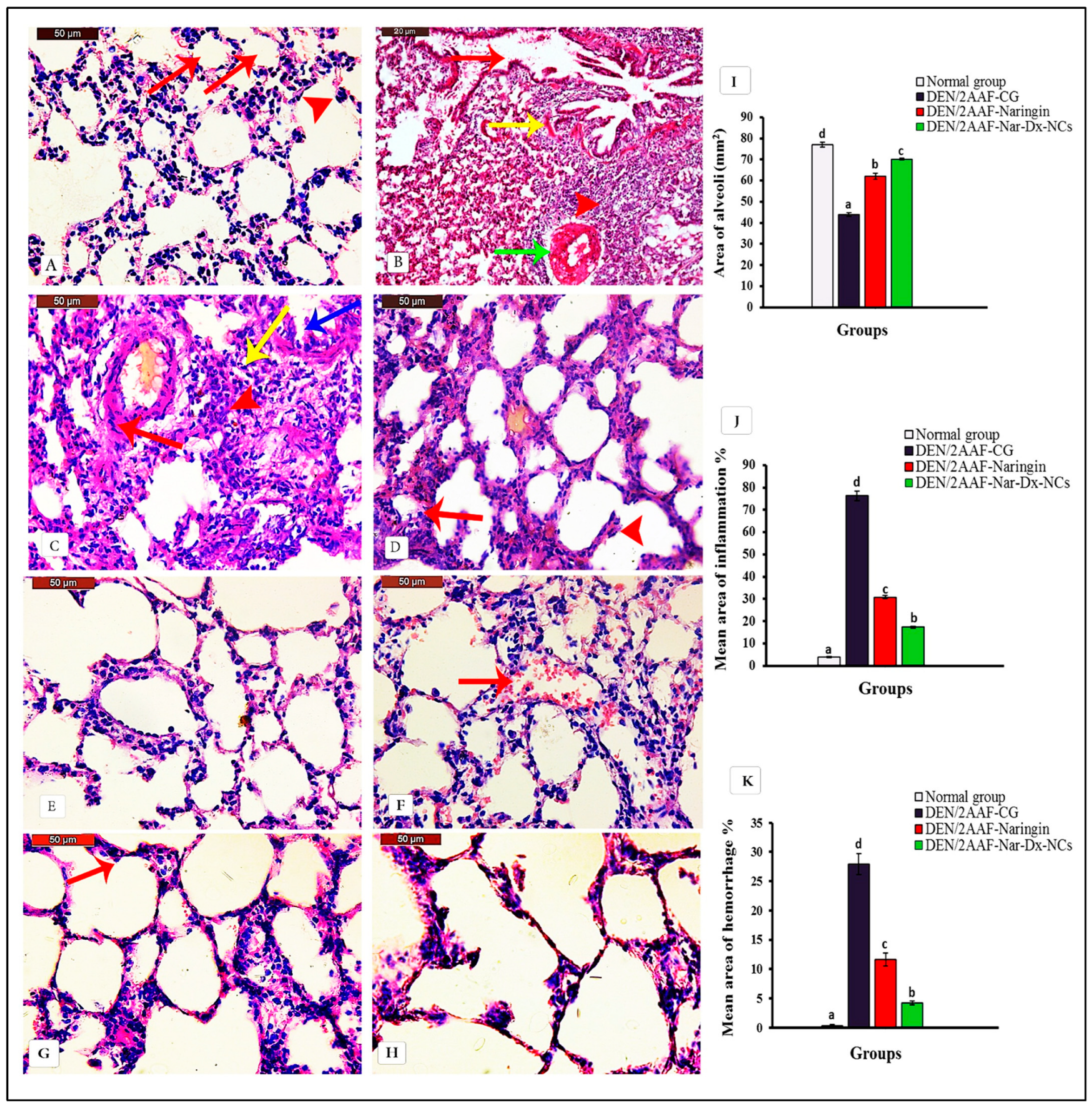 Cancers 15 05102 g003