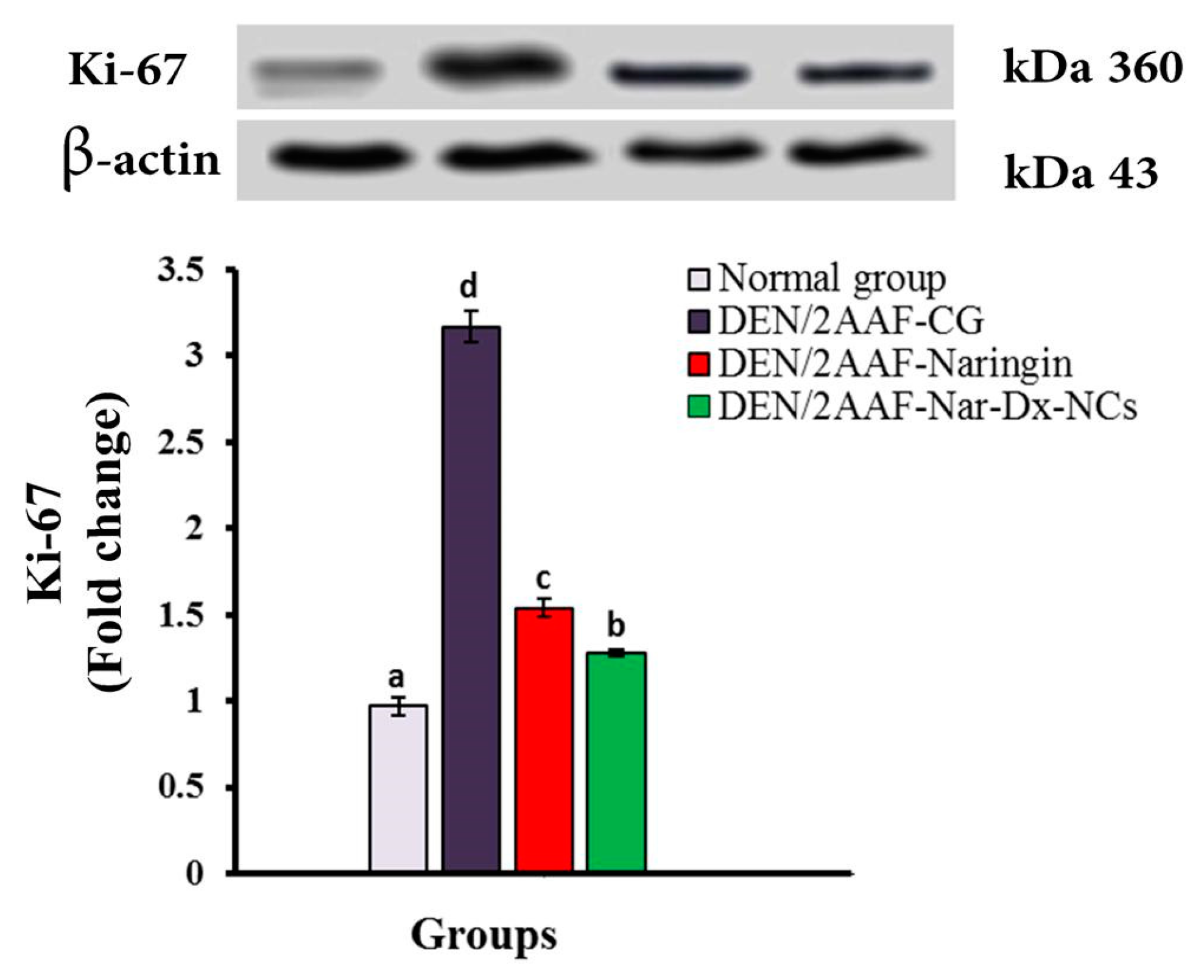 Cancers 15 05102 g007