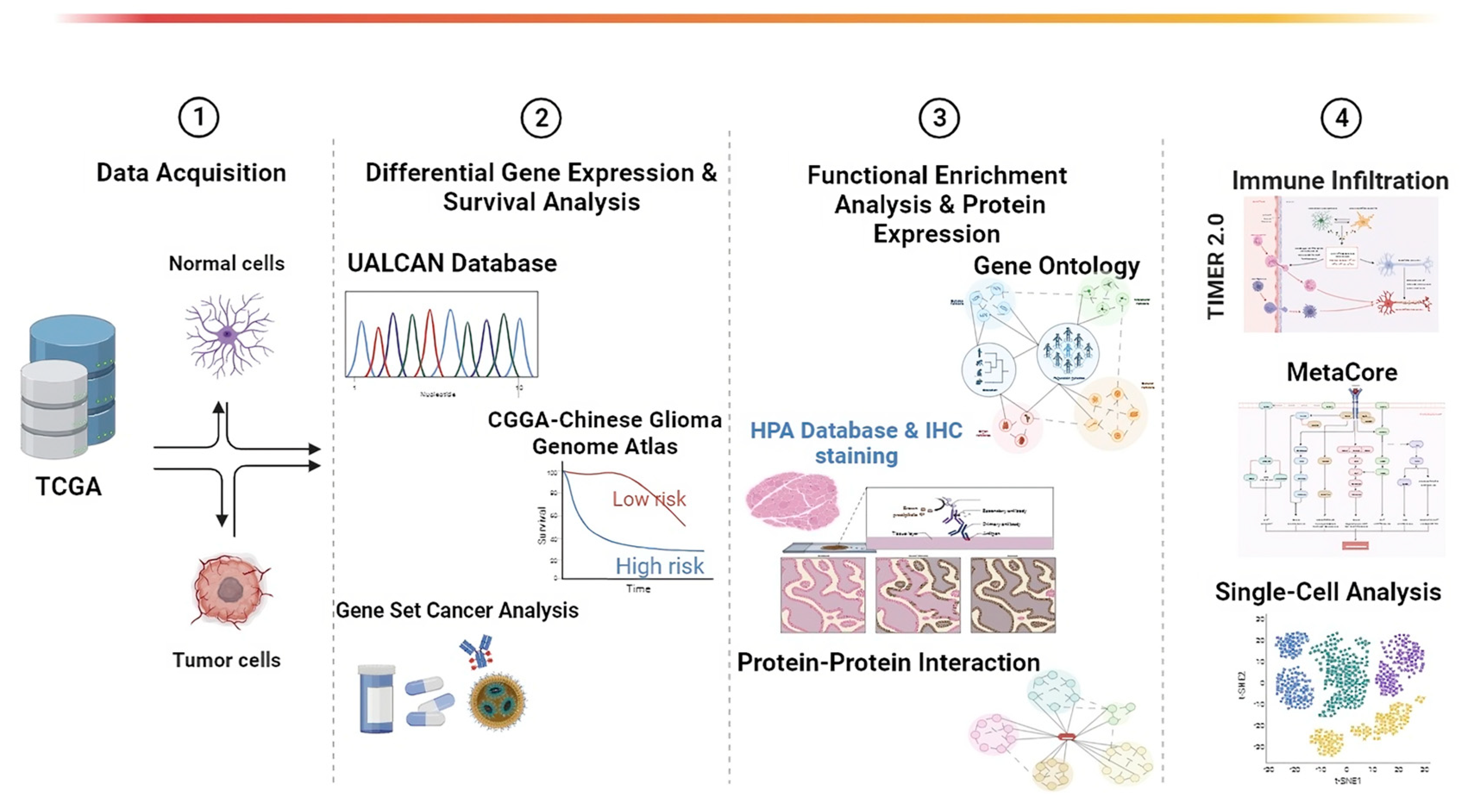 Cancers 15 05112 g001
