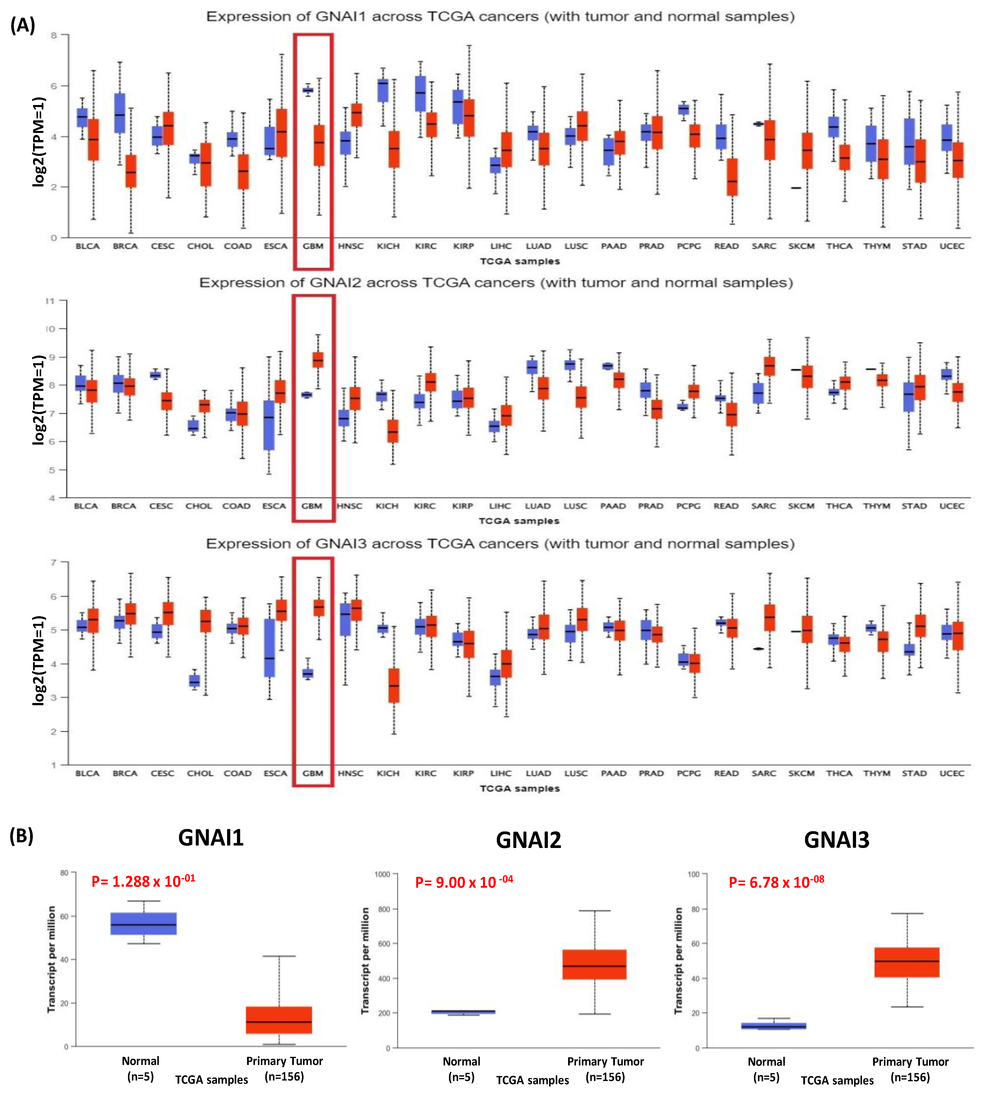 Cancers 15 05112 g002