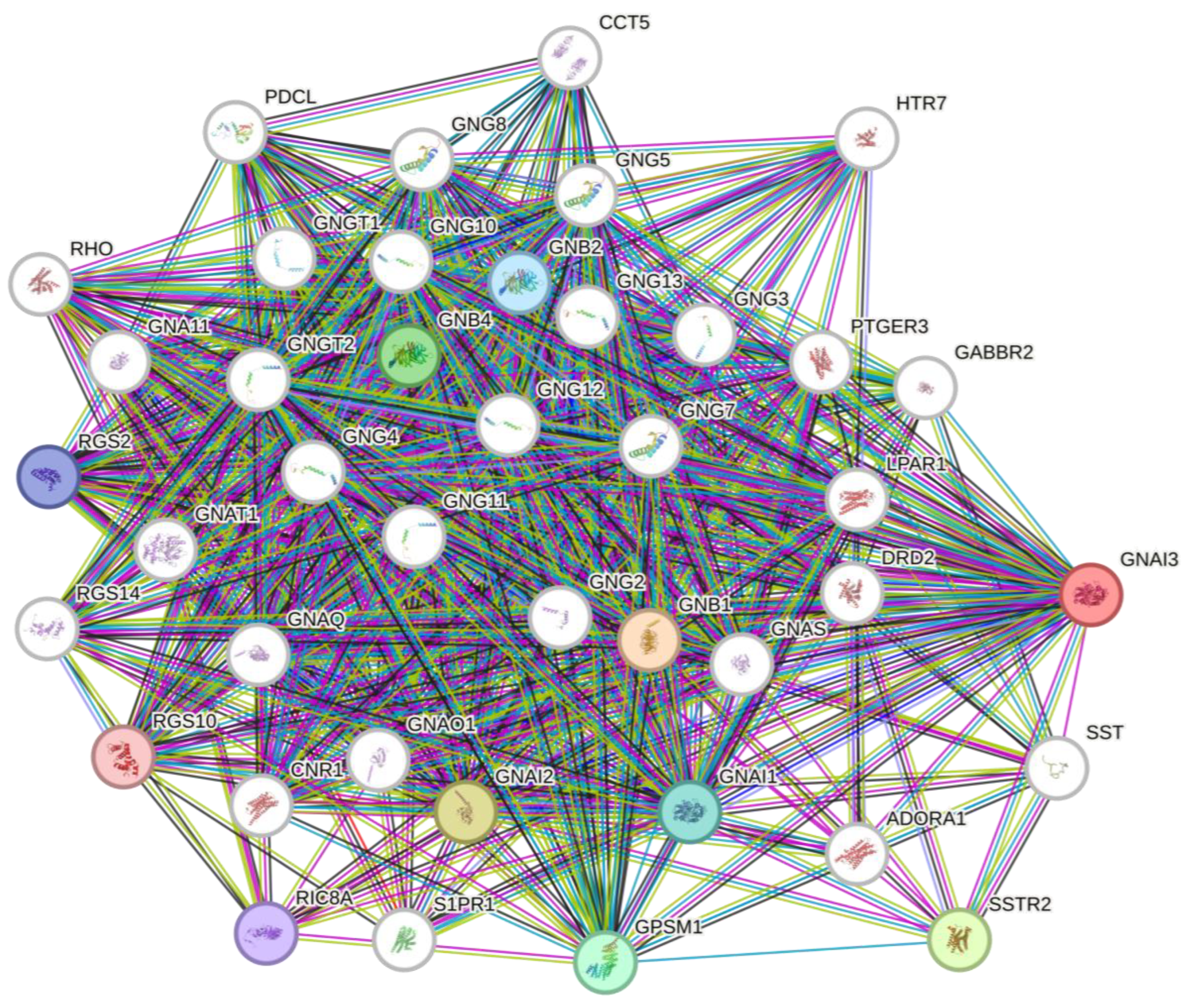 Cancers 15 05112 g005