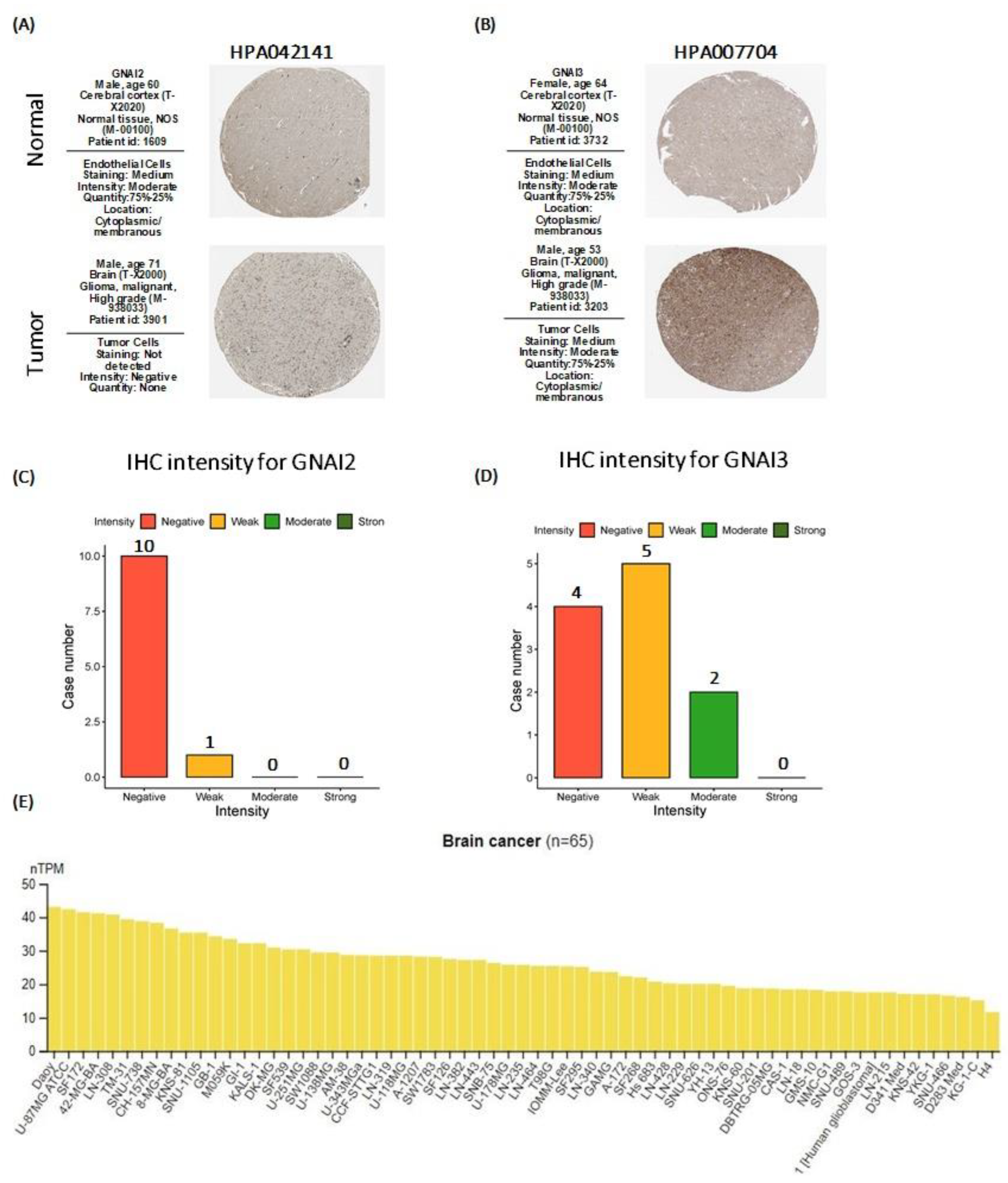 Cancers 15 05112 g007
