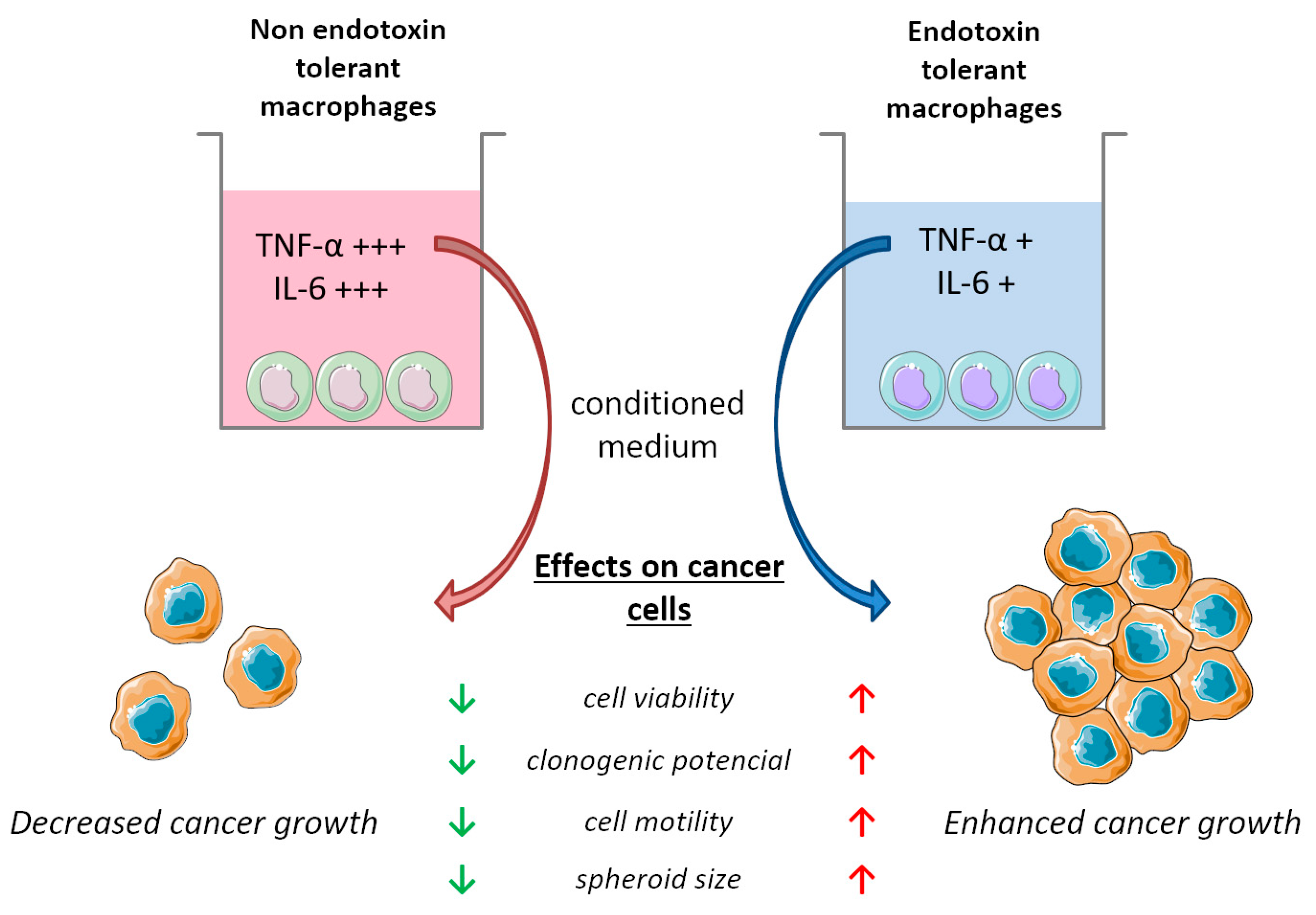 Cancers 15 05113 g008