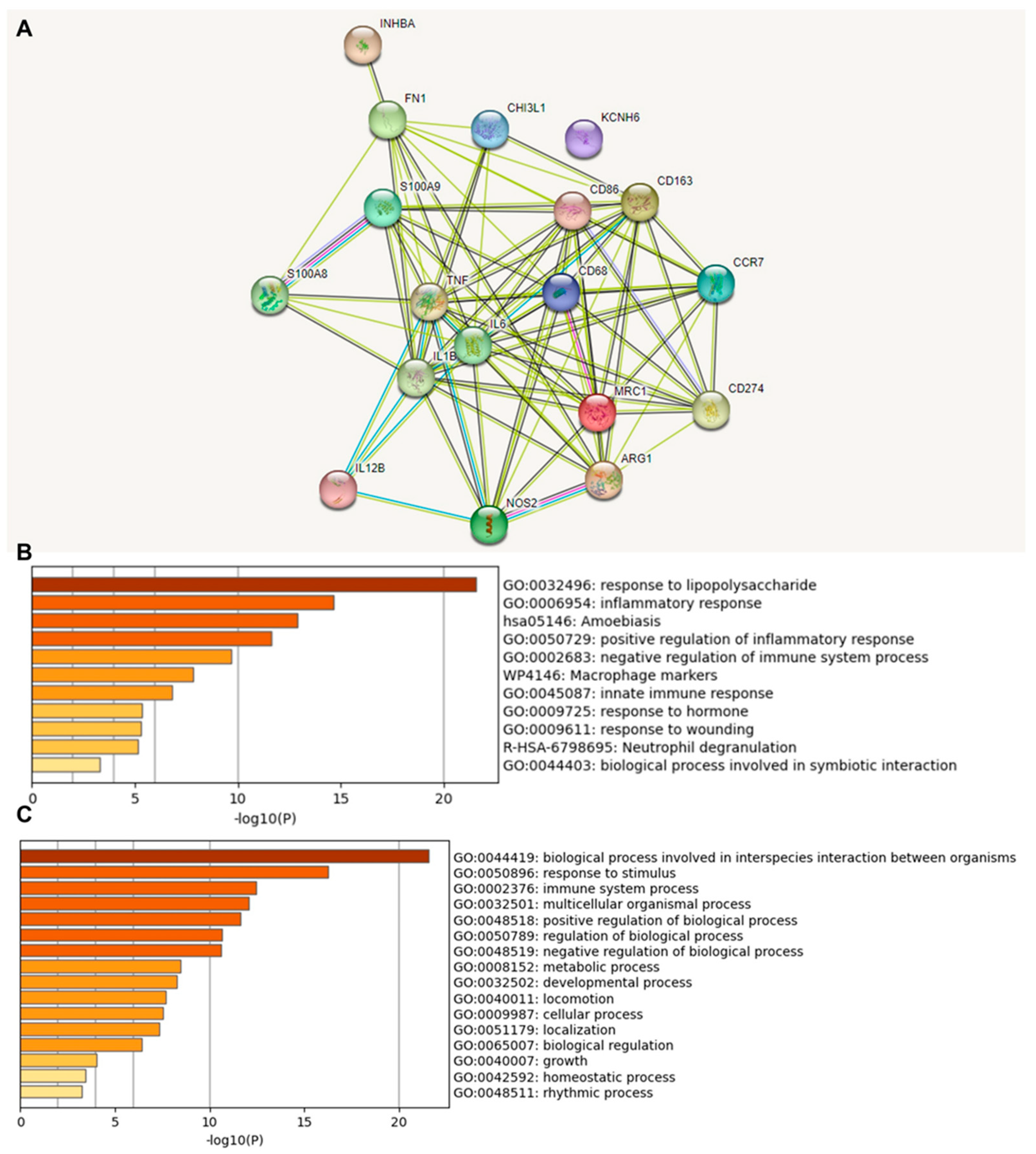 Cancers 15 05116 g002 Cancers 15 05116 g002