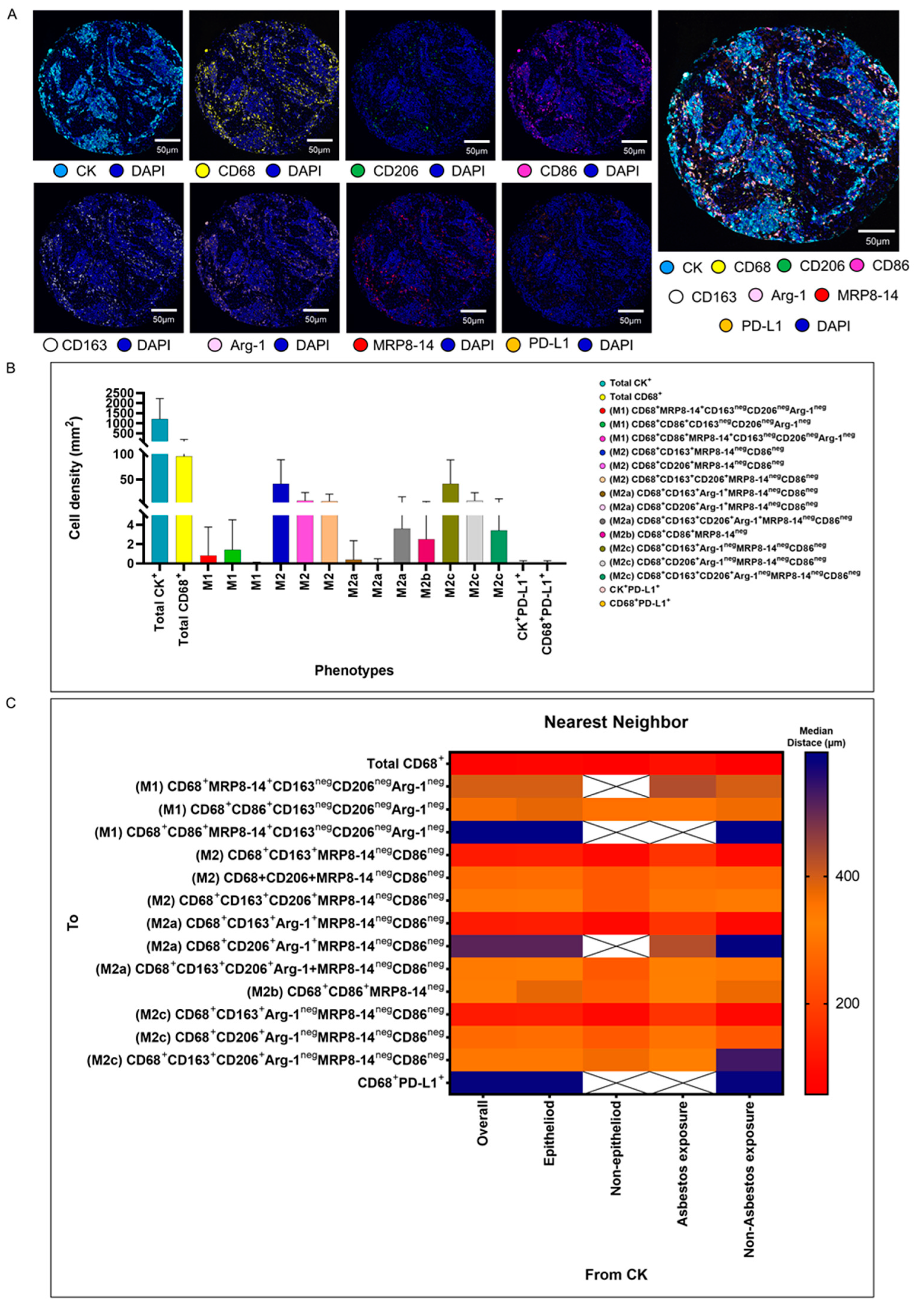 Cancers 15 05116 g003 Cancers 15 05116 g003