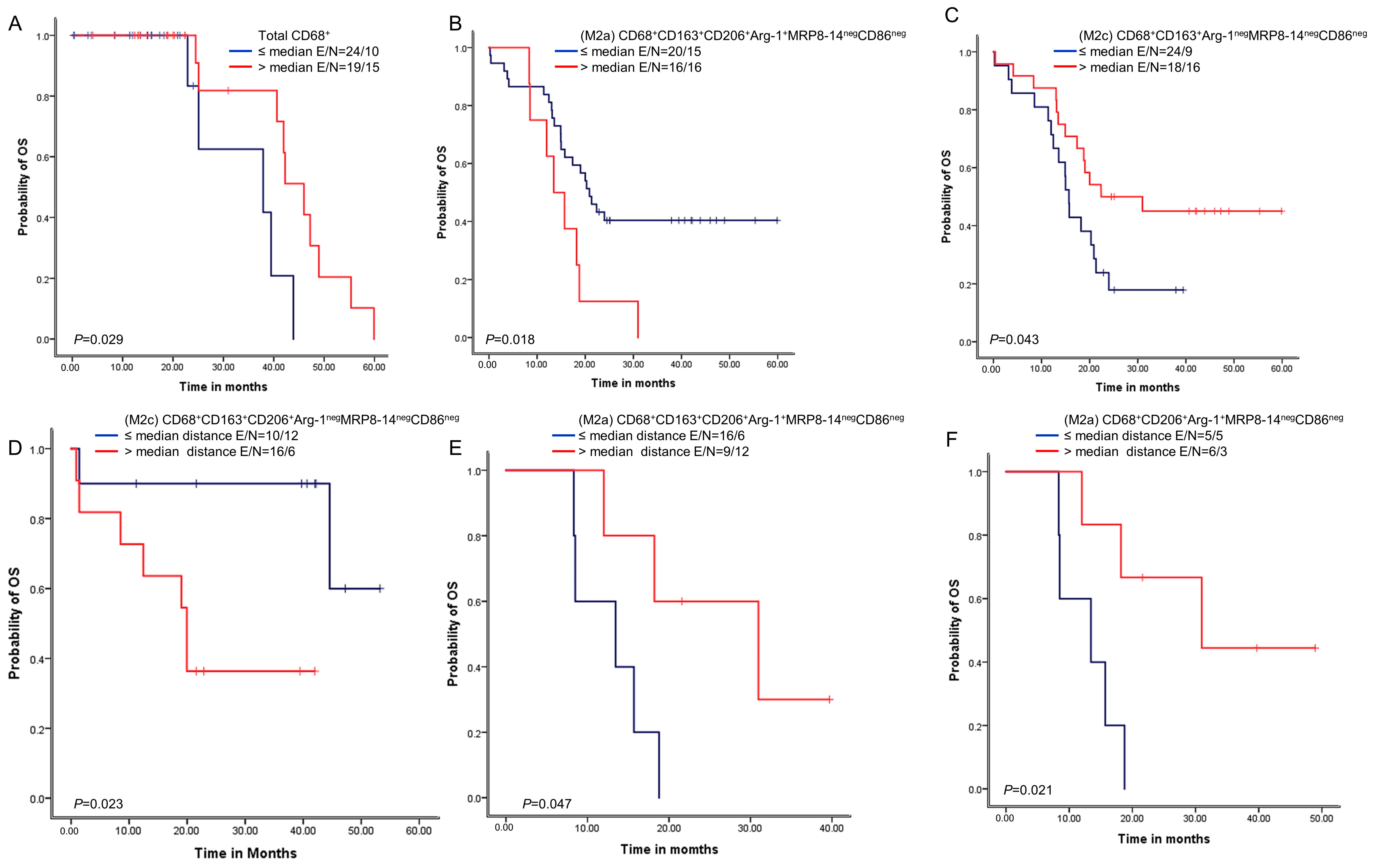 Cancers 15 05116 g005 Cancers 15 05116 g005