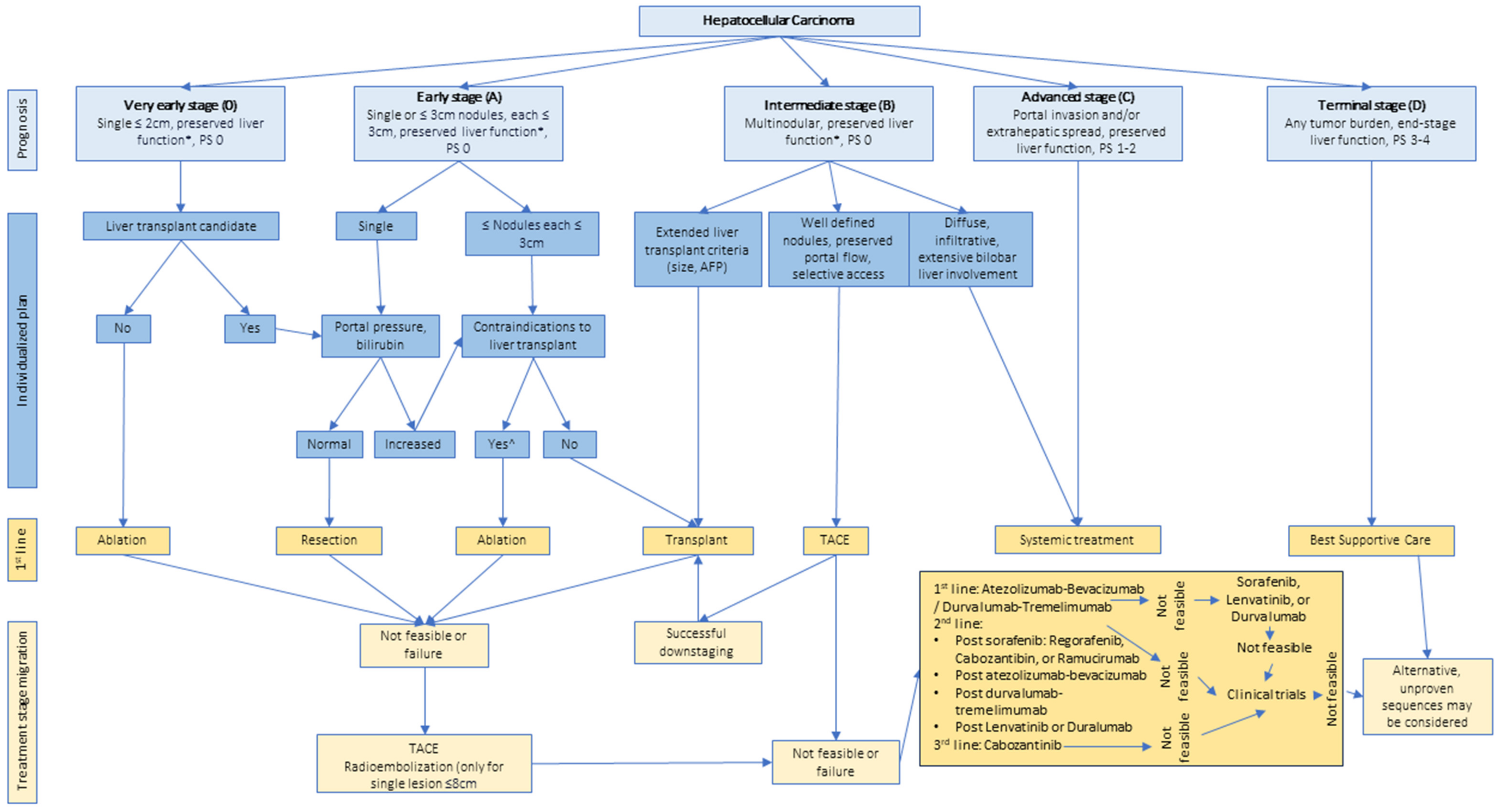 Cancers 15 05118 g002