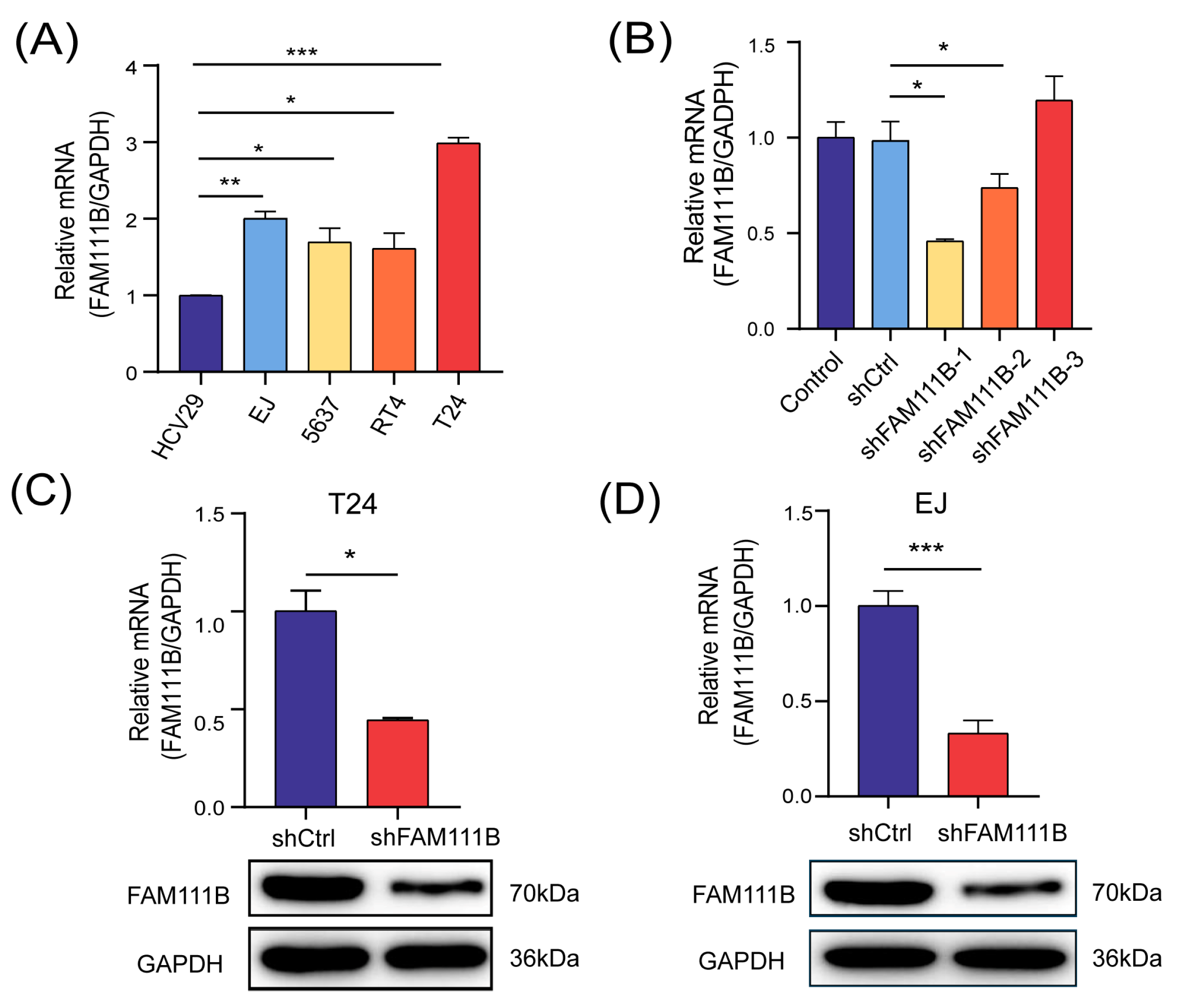 Cancers 15 05122 g002