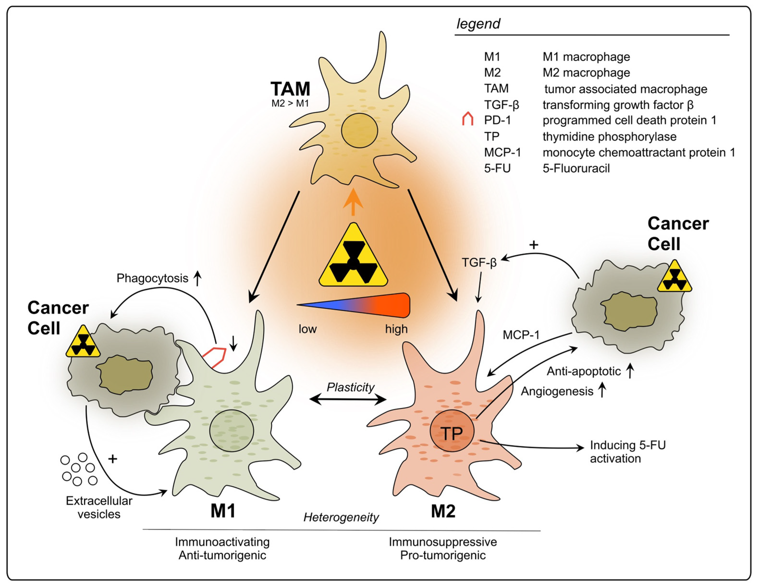 Cancers 15 05124 g001