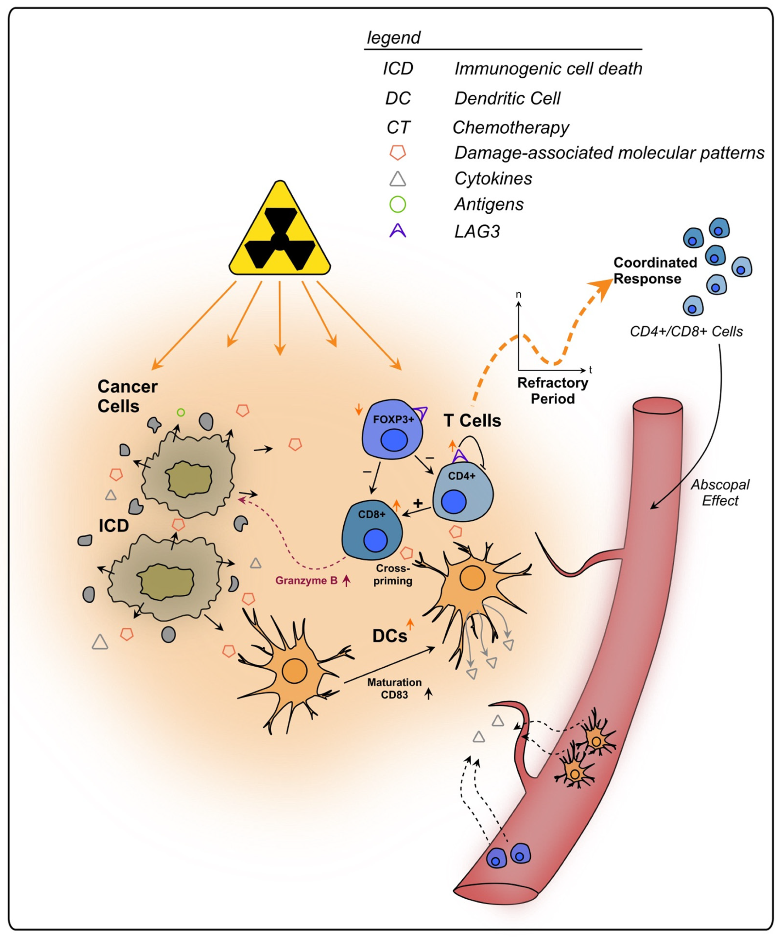 Cancers 15 05124 g002