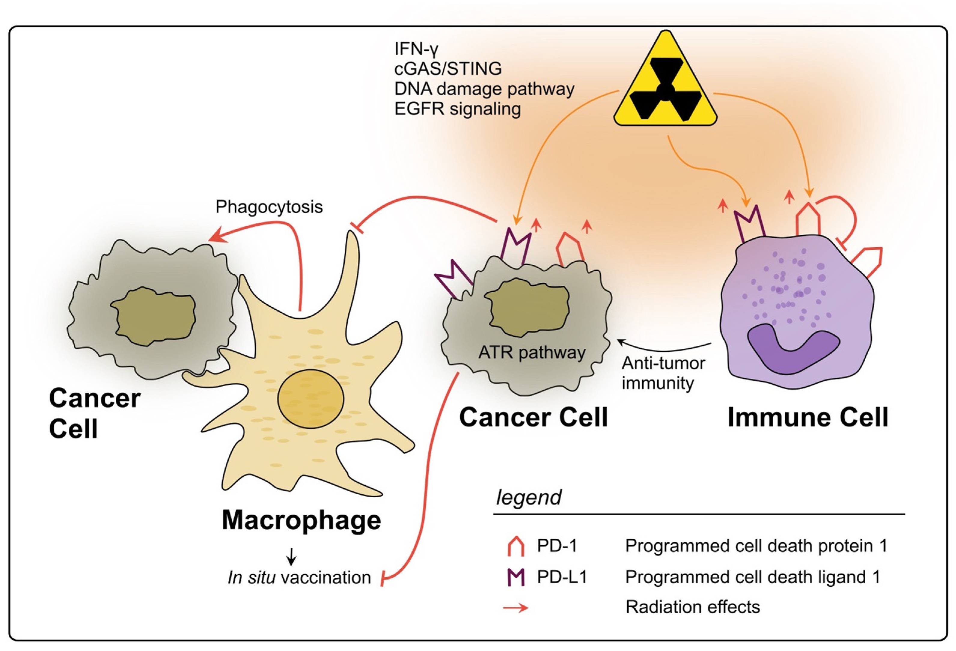 Cancers 15 05124 g003
