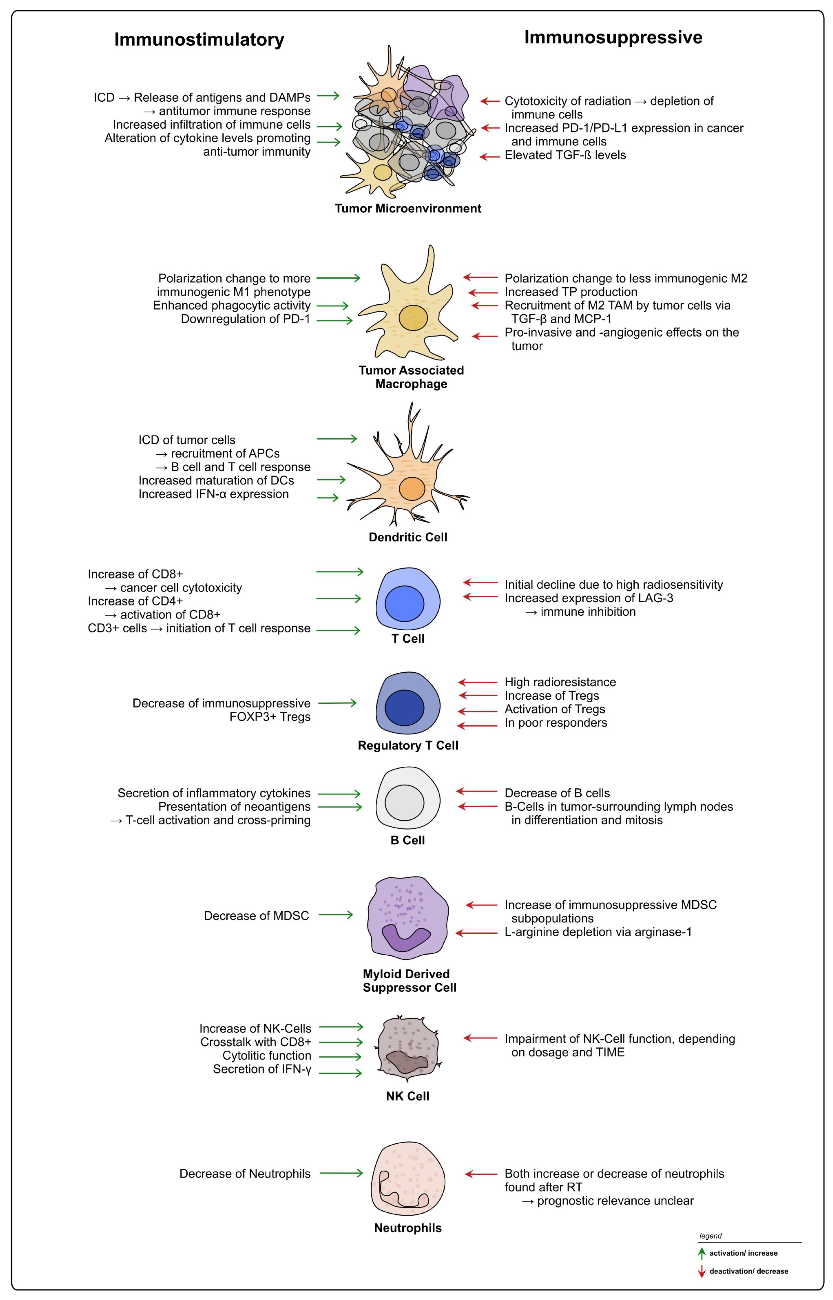 Cancers 15 05124 g004