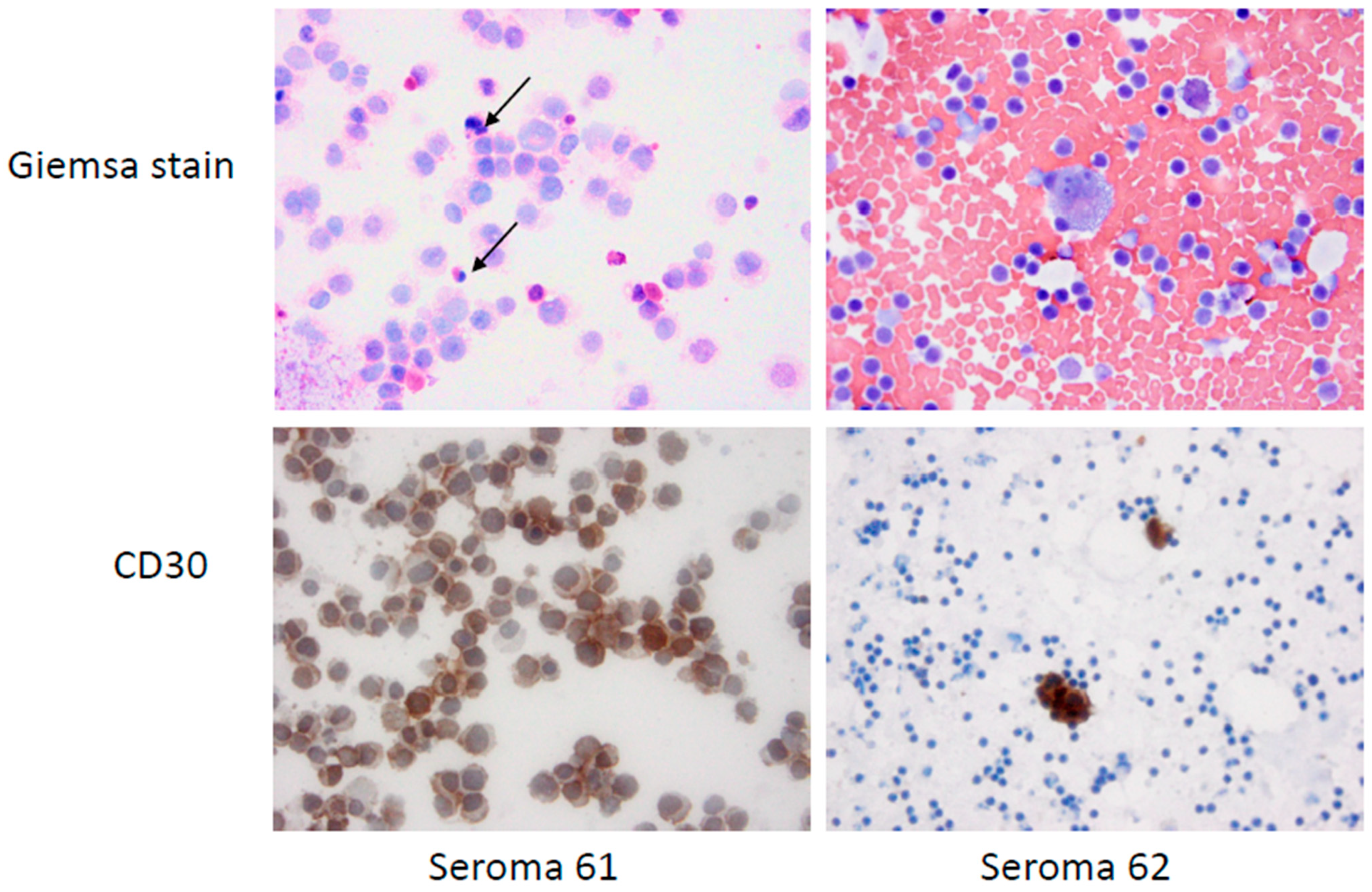 Cancers 15 05128 g001