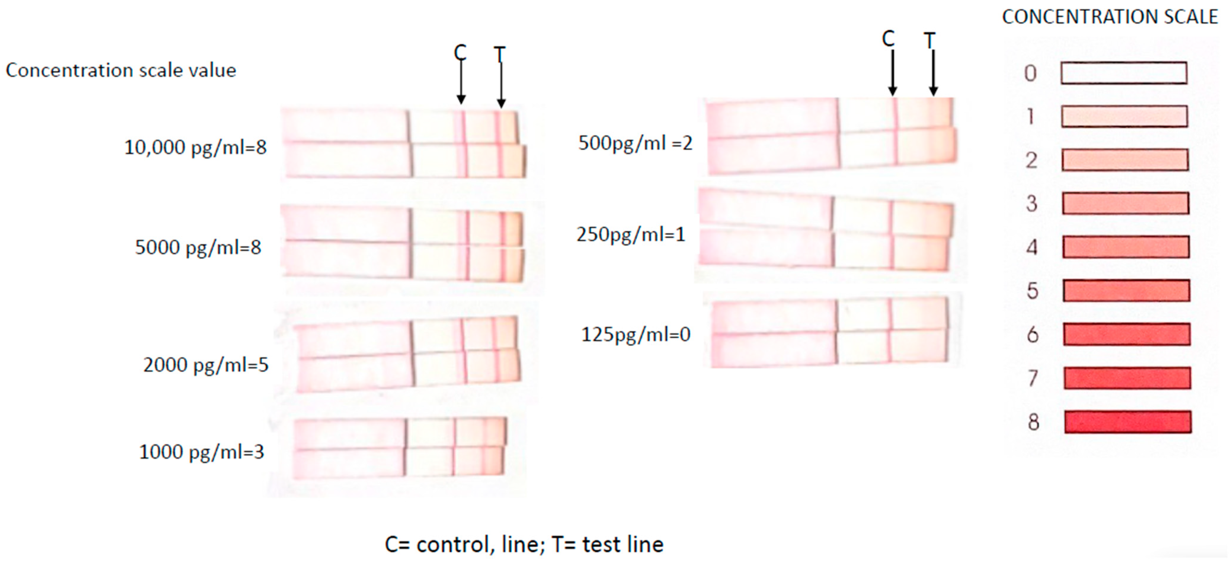 Cancers 15 05128 g002