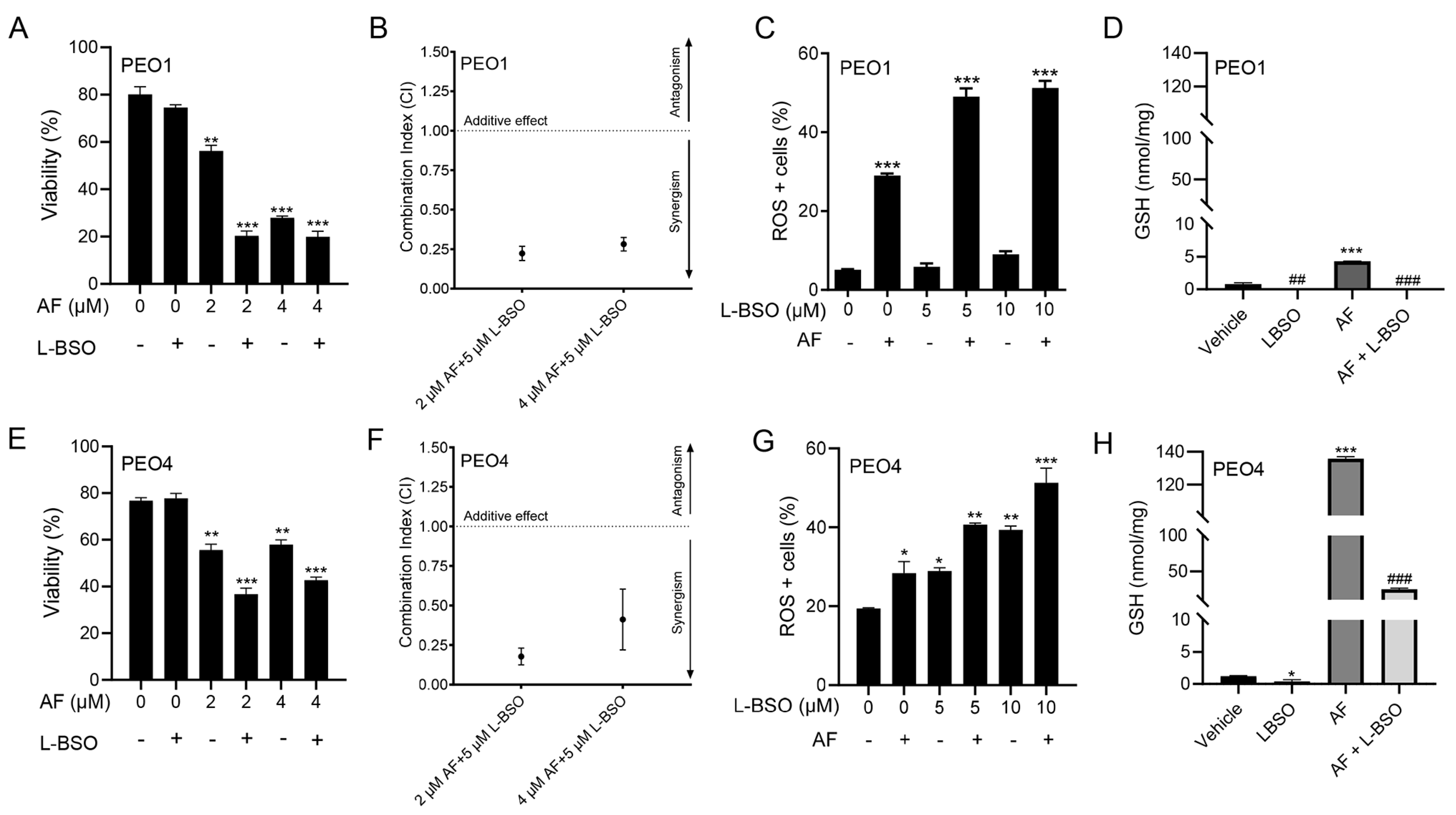 Cancers 15 05136 g008