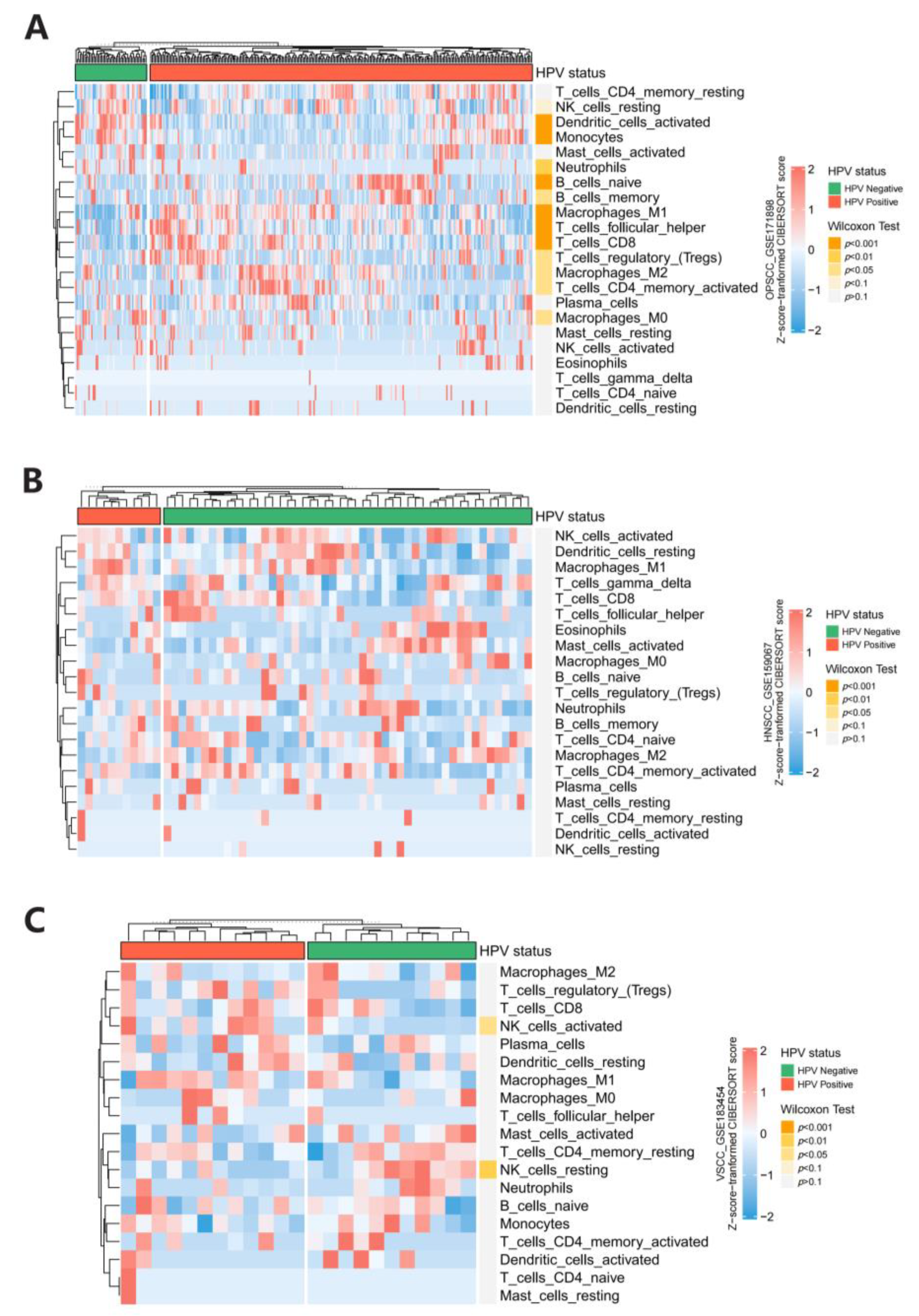 Cancers 15 05147 g008