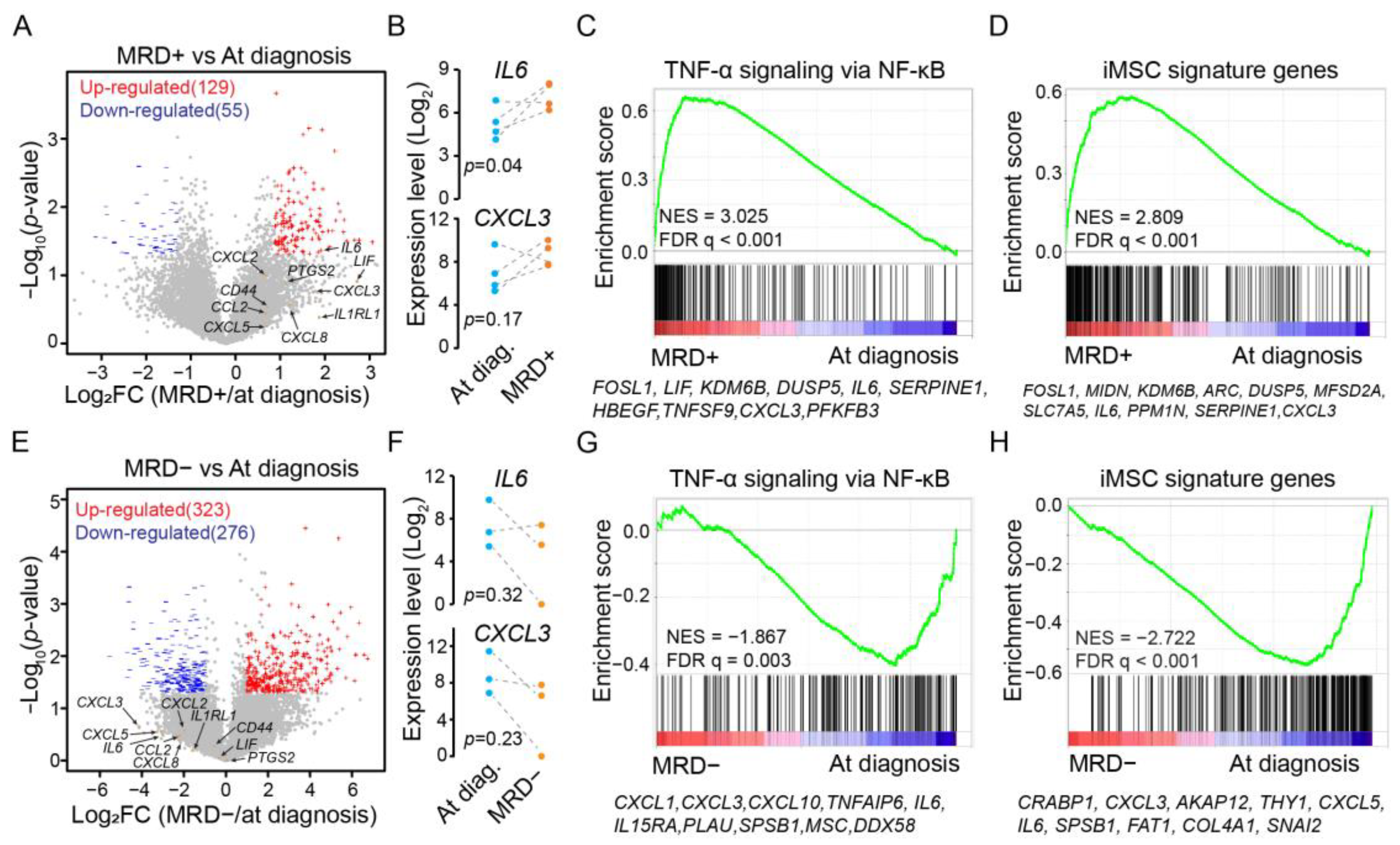 Simple gene signature to assess murine fibroblast polarization