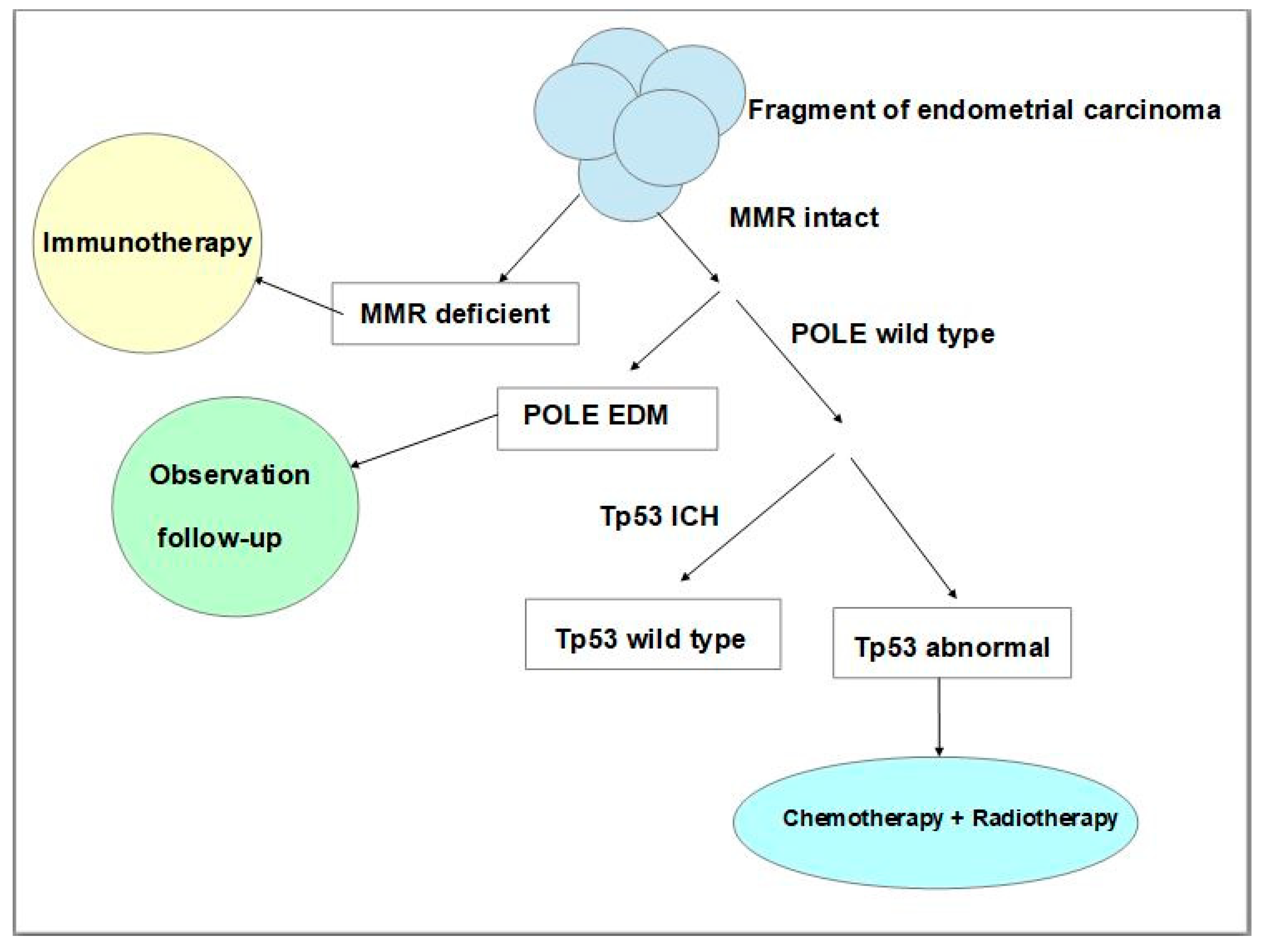 Cancers 15 05155 g003
