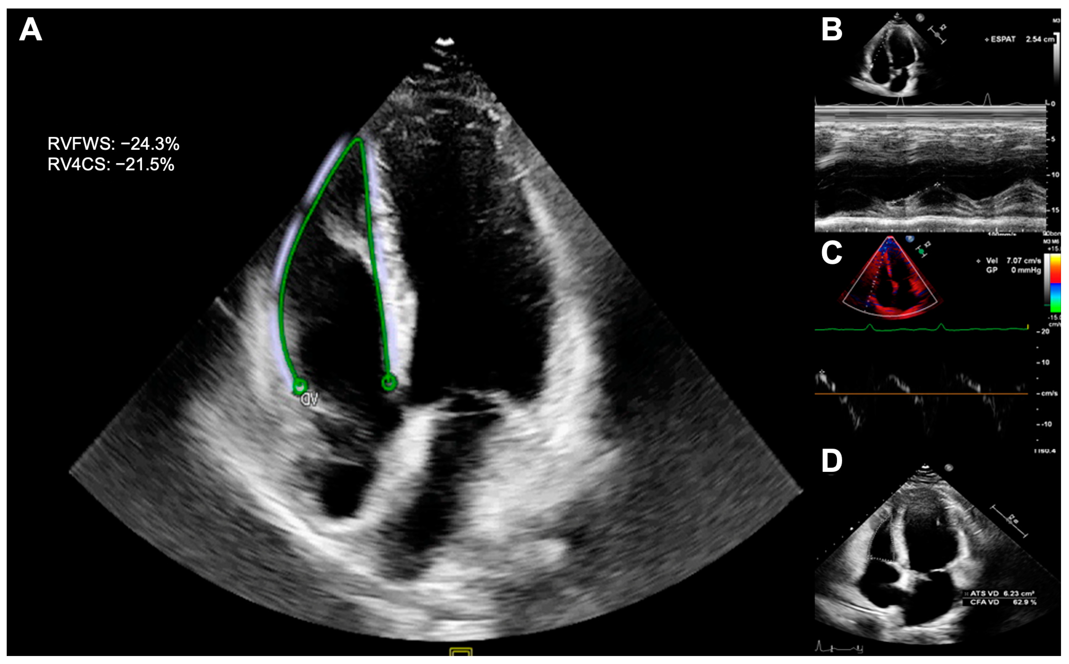 Cancers 15 05158 g001