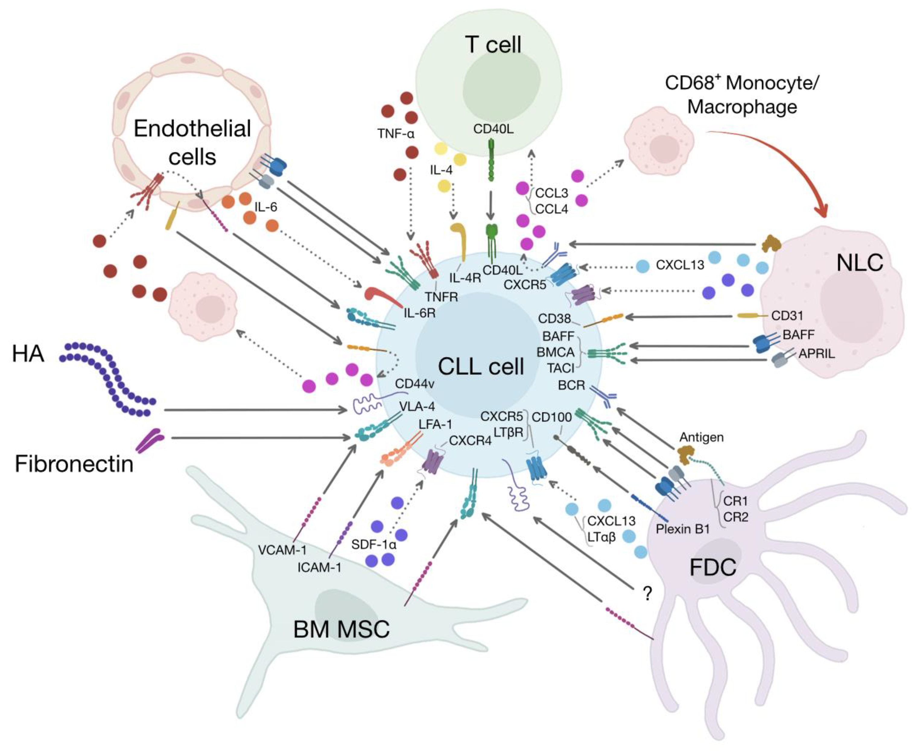 Cancers 15 05160 g001 Cancers 15 05160 g001