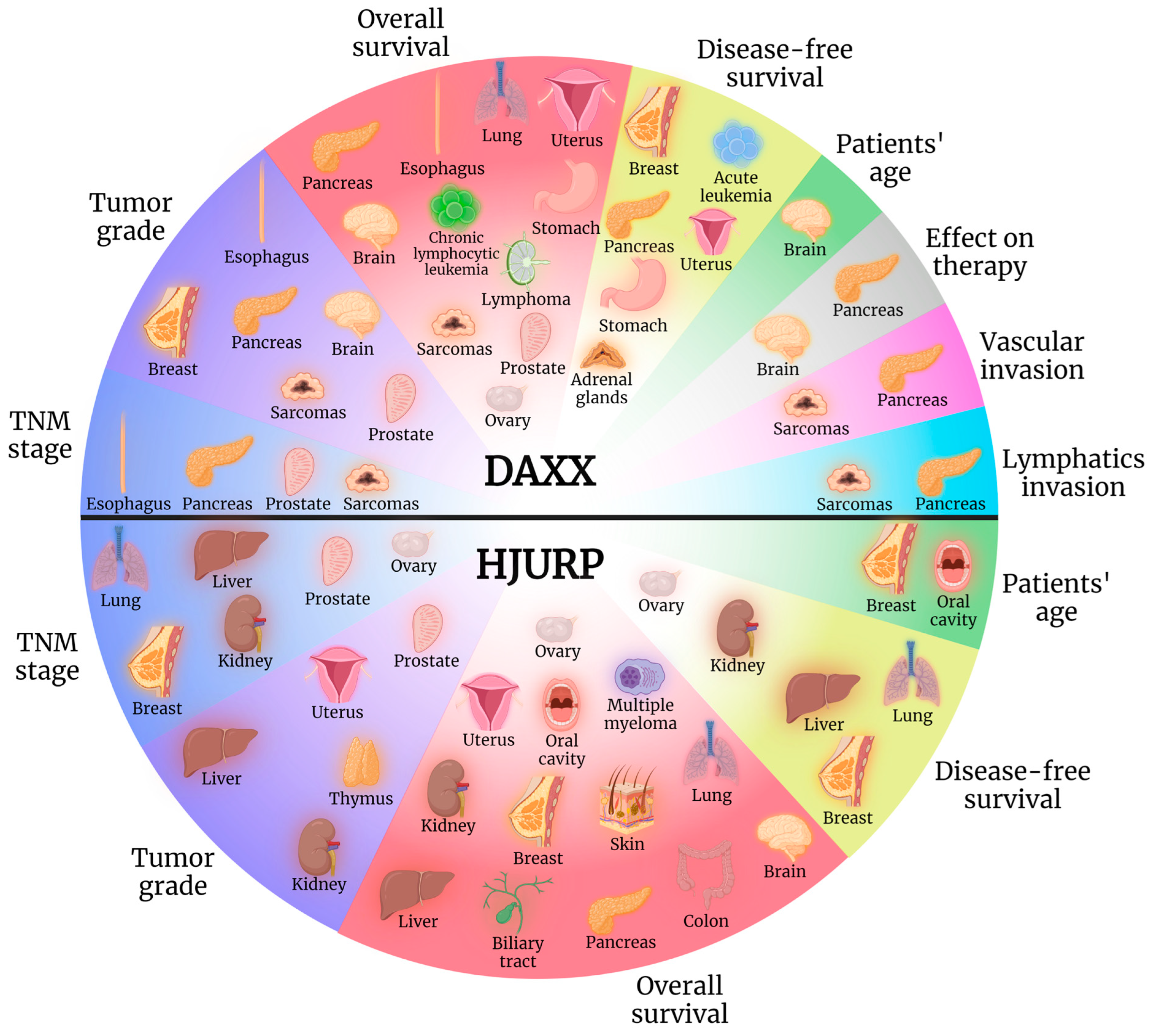 Cancers 15 05165 g003 Cancers 15 05165 g003