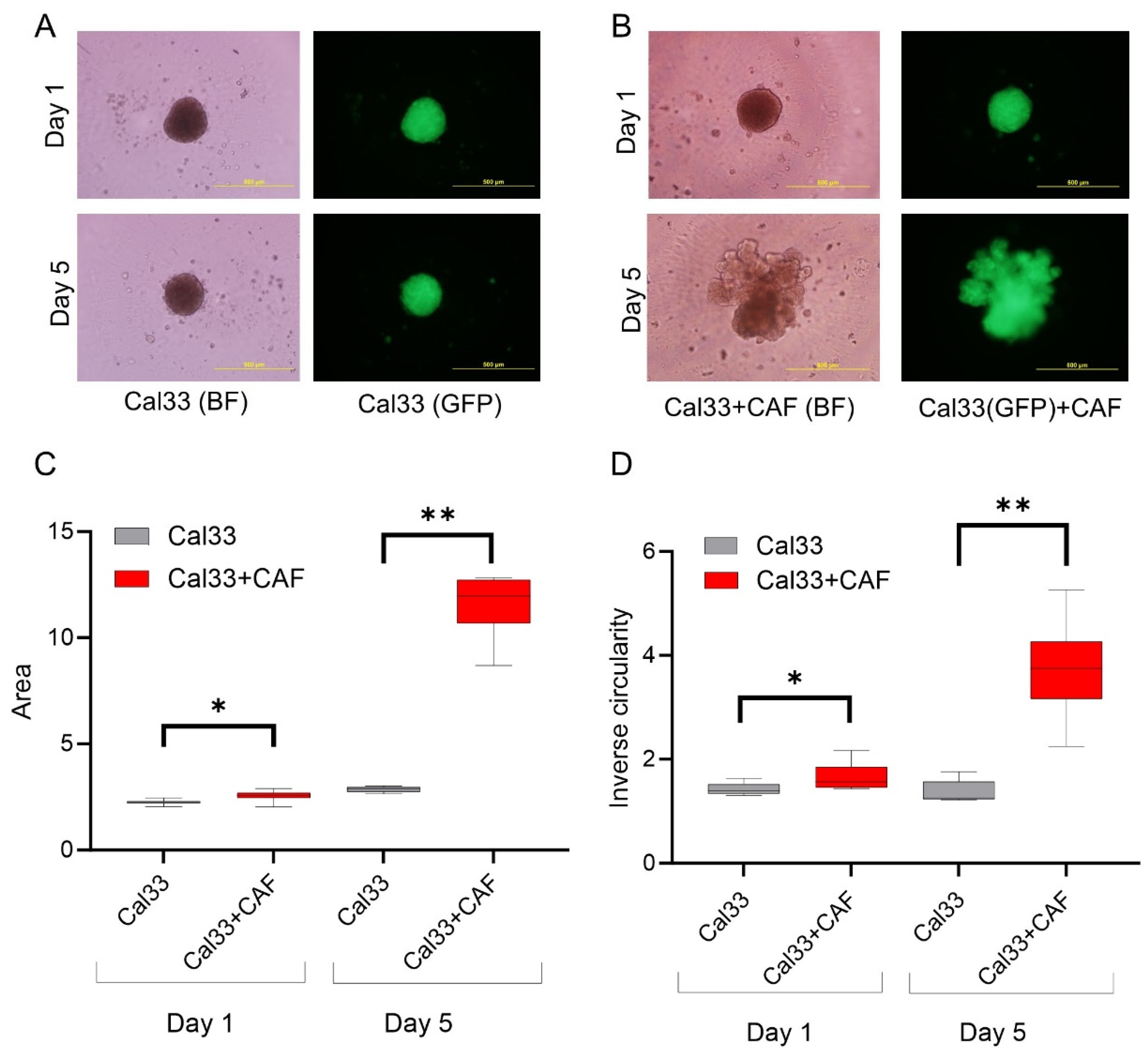 Cancers 15 05168 g002