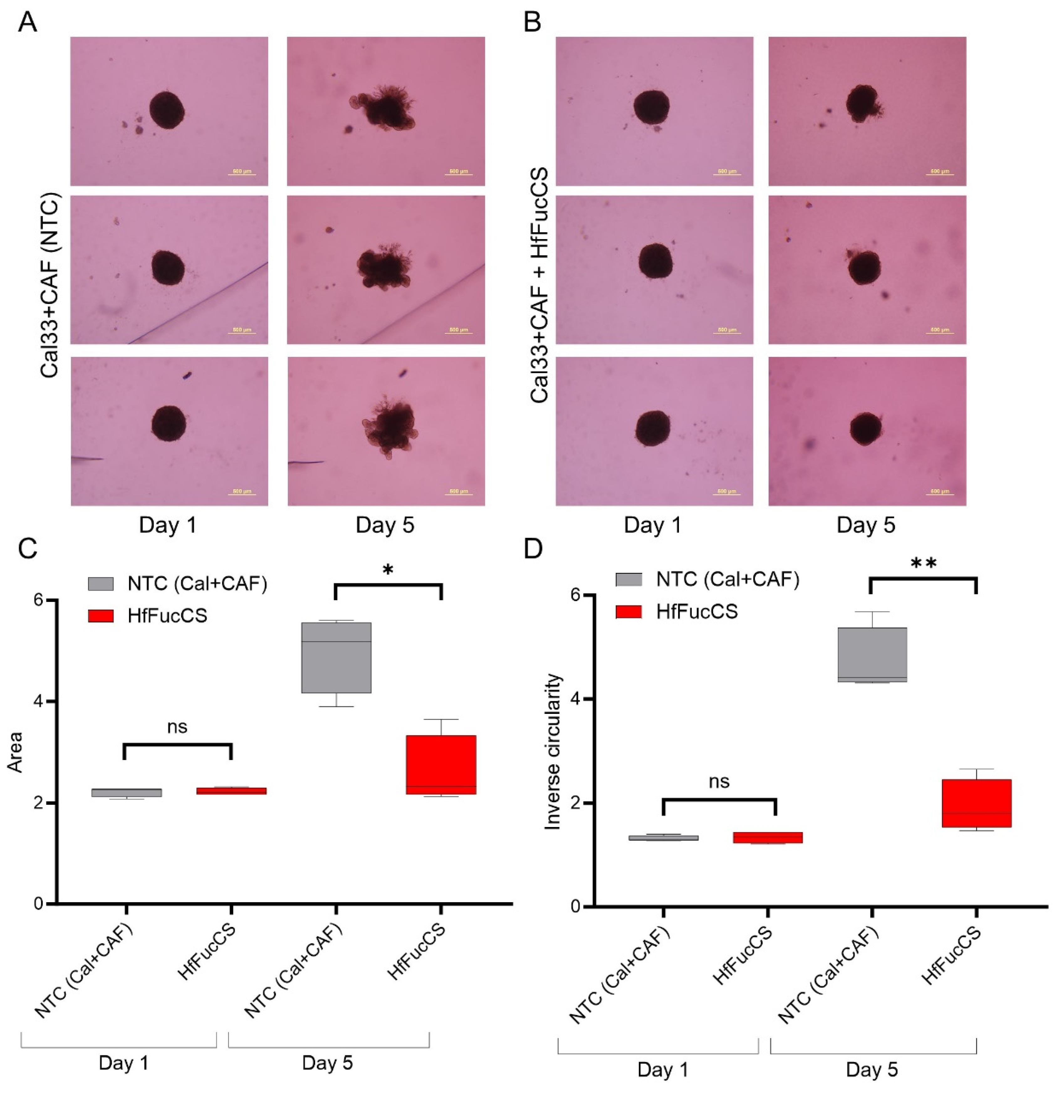 Cancers 15 05168 g007