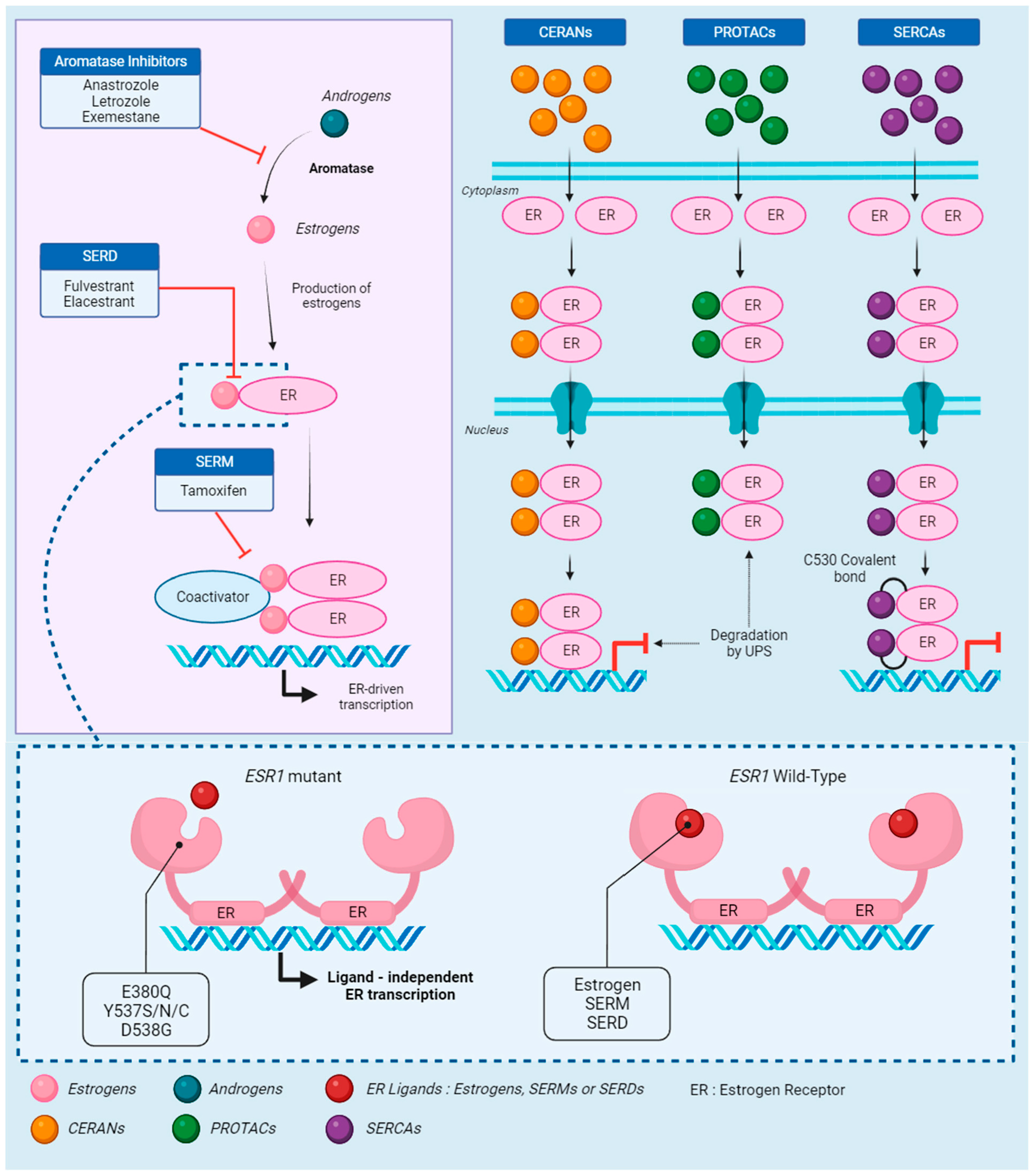 Evolution of Cancer\r
英語版 Spatial biology of cancer evolution | Nature Reviews Genetics