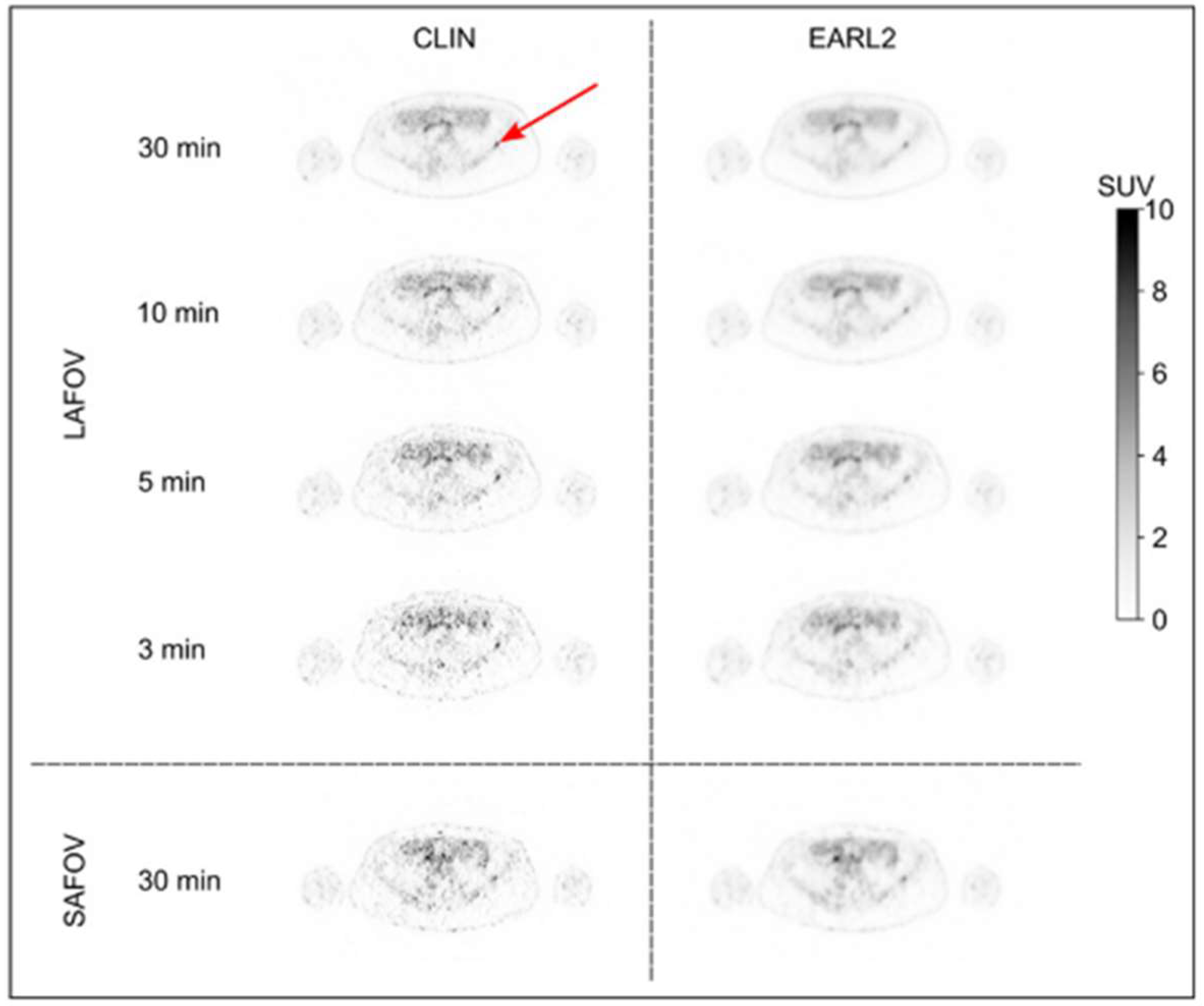 Cancers 15 05173 g002 Cancers 15 05173 g002