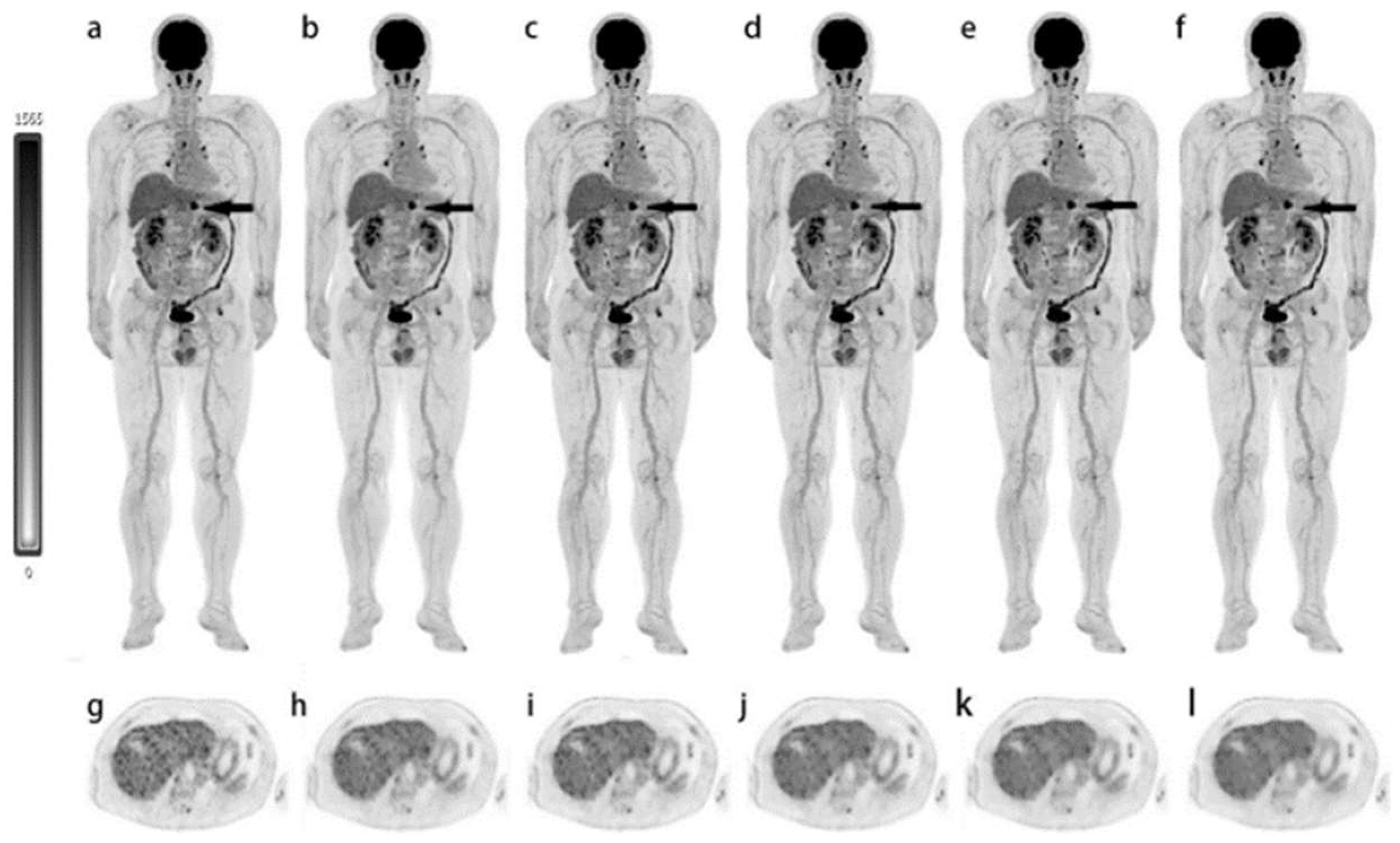 Cancers 15 05173 g006 Cancers 15 05173 g006