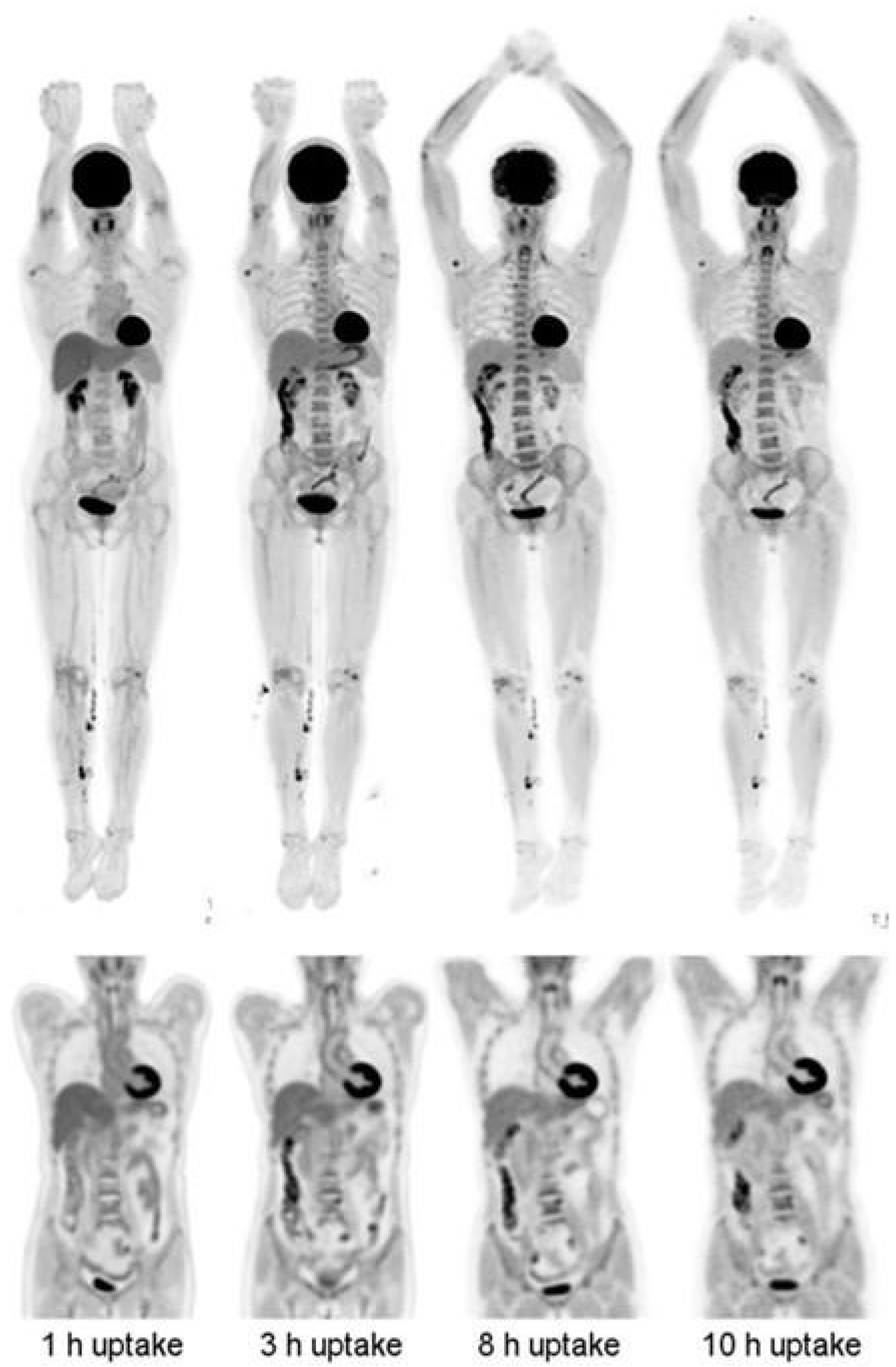 Cancers 15 05173 g008 Cancers 15 05173 g008